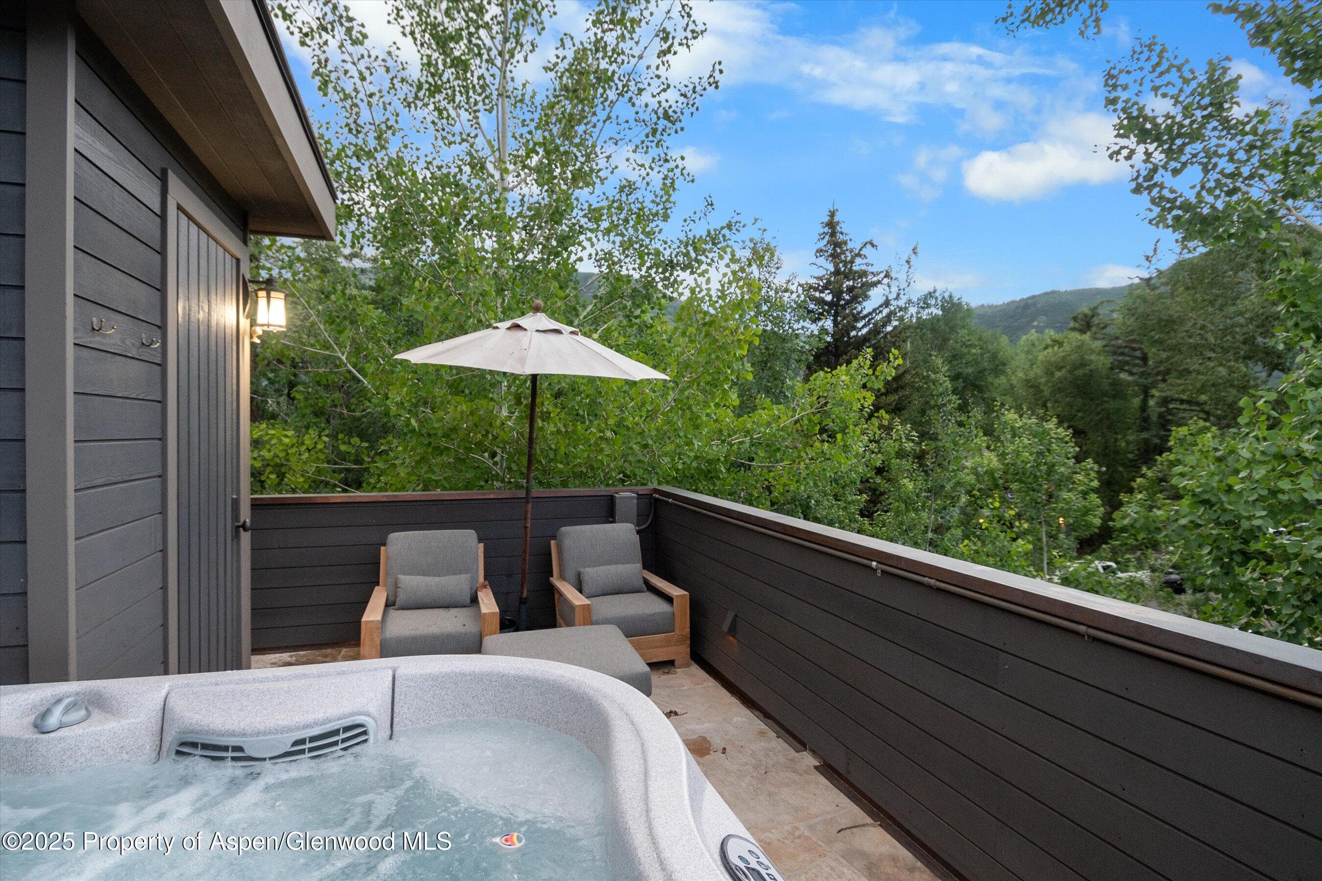 304 S Garmisch Street, Aspen, CO 81611 - Photo 41