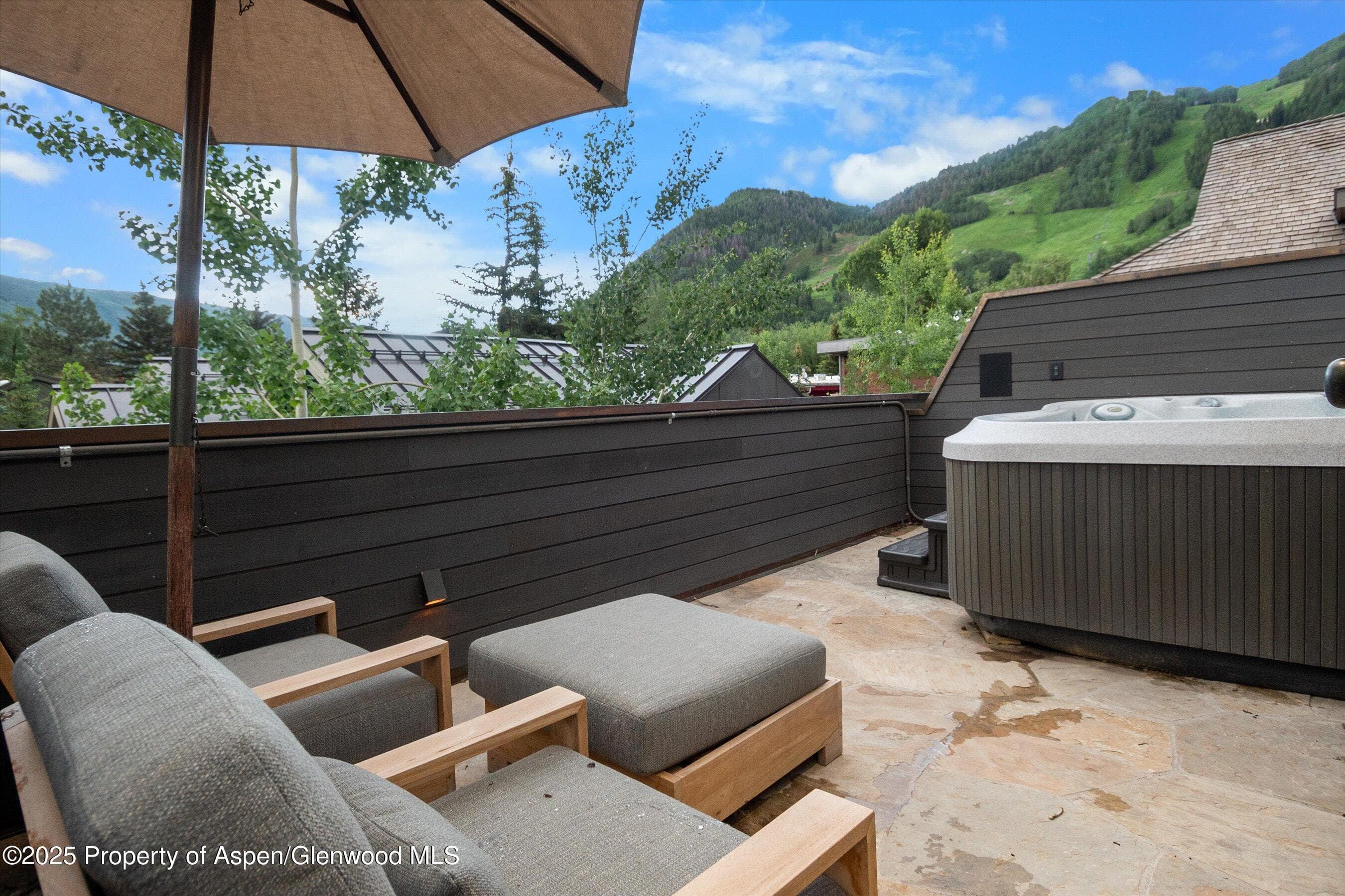 304 S Garmisch Street, Aspen, CO 81611 - Photo 44