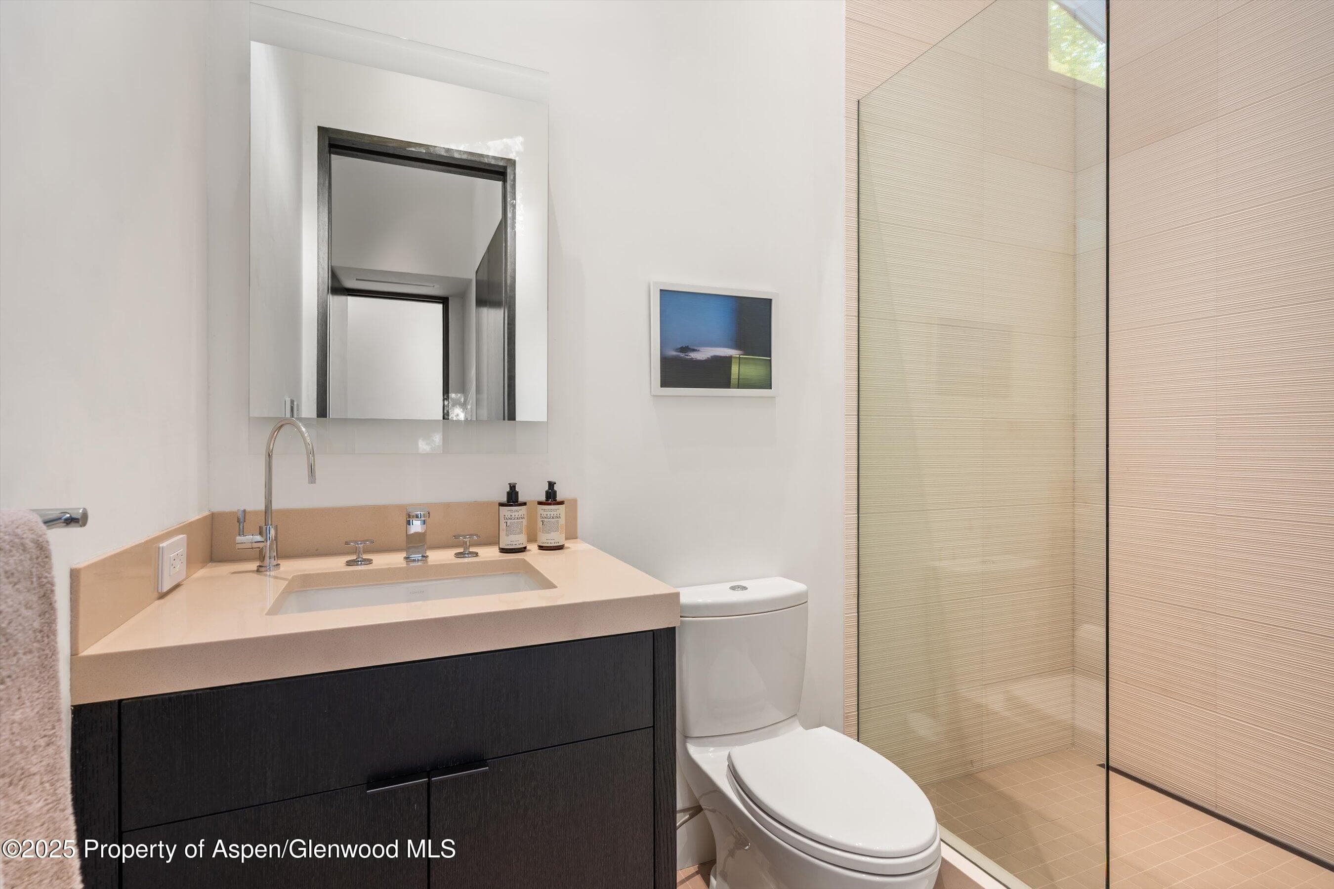 155 Lone Pine Road 12, Aspen, CO 81611 - Photo 29