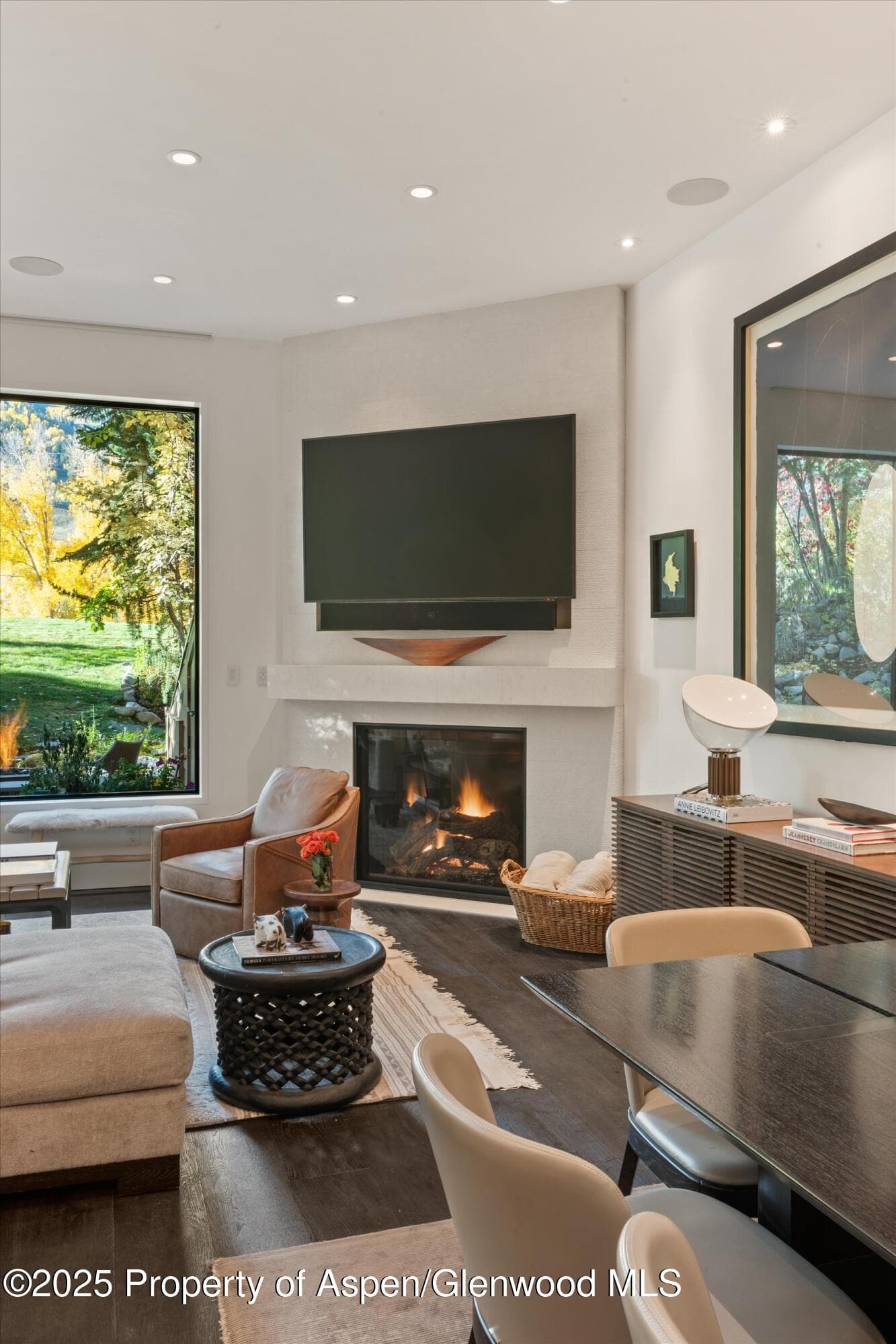 155 Lone Pine Road 12, Aspen, CO 81611 - Photo 3