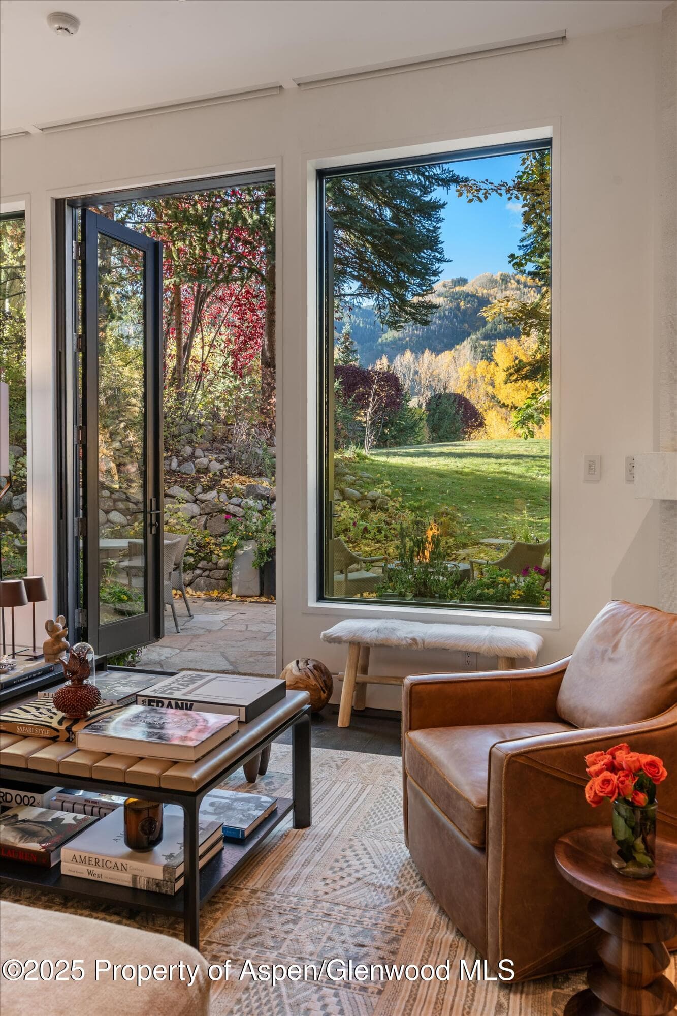155 Lone Pine Road 12, Aspen, CO 81611 - Photo 4