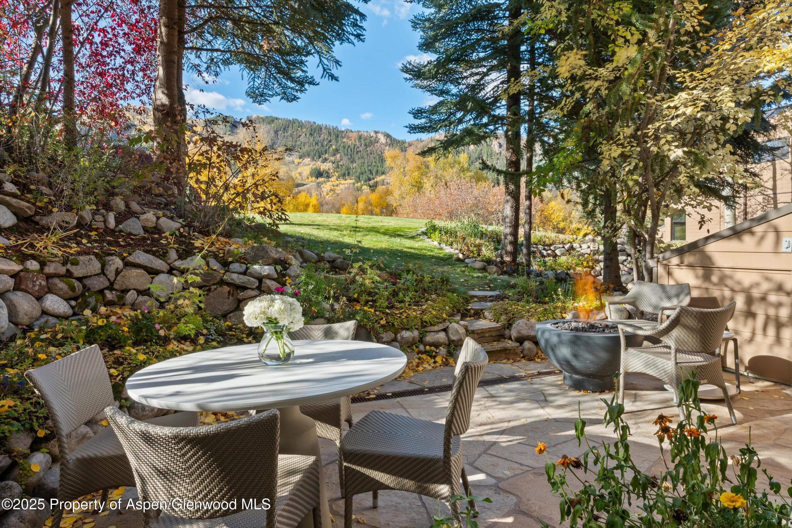 155 Lone Pine Road 12, Aspen, CO 81611 - Photo 34