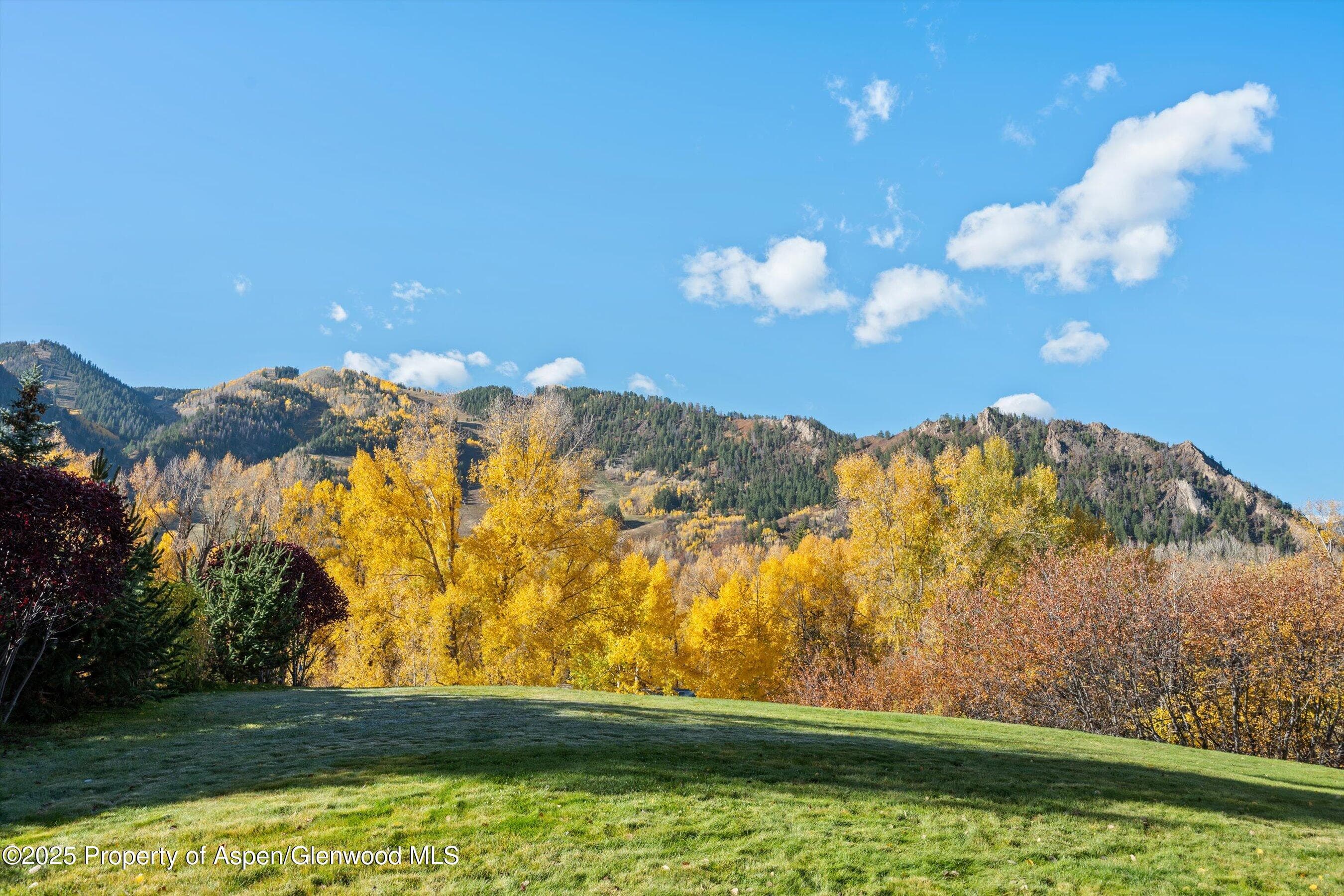155 Lone Pine Road 12, Aspen, CO 81611 - Photo 37