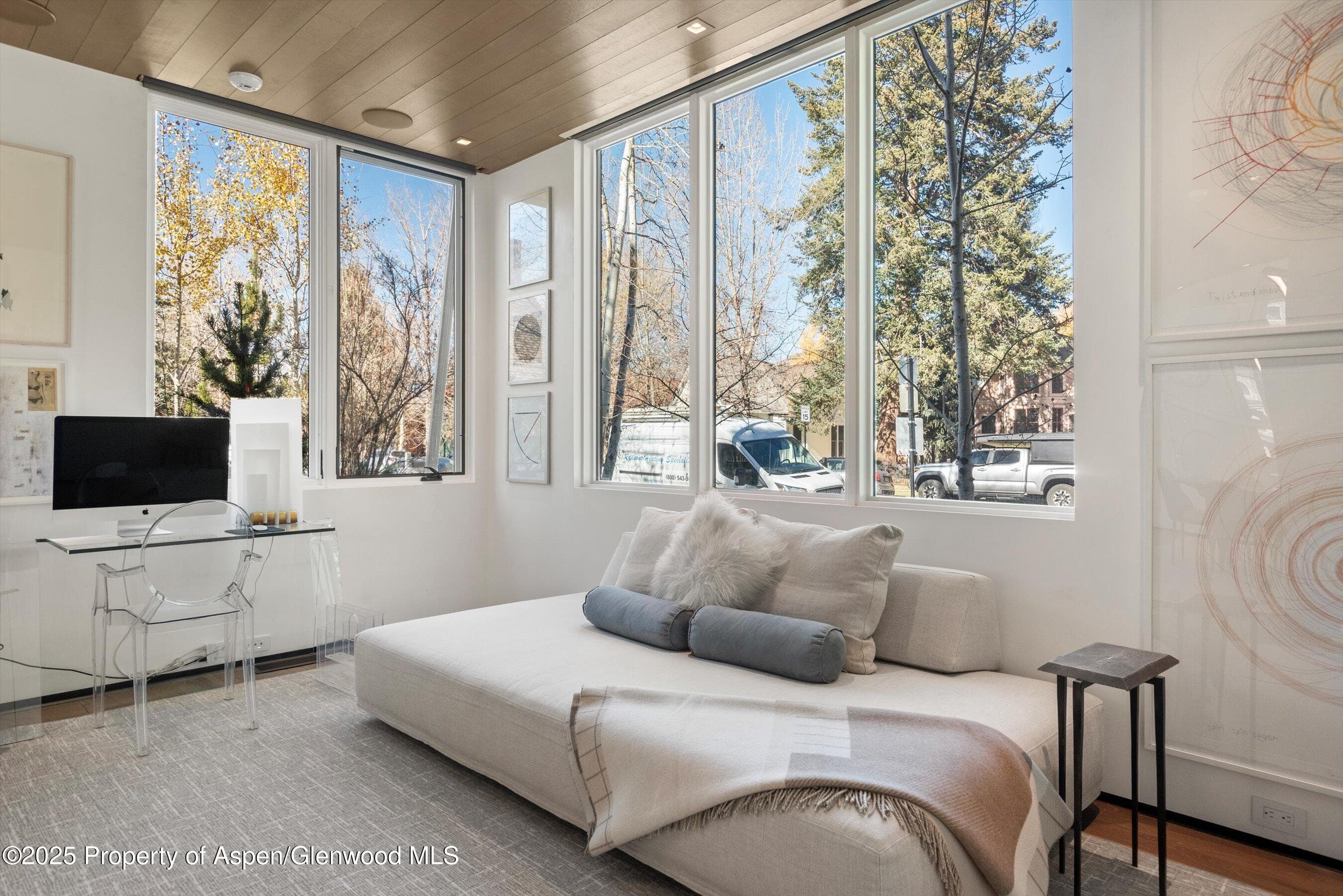 219 N Monarch Street, Aspen, CO 81611 - Photo 12