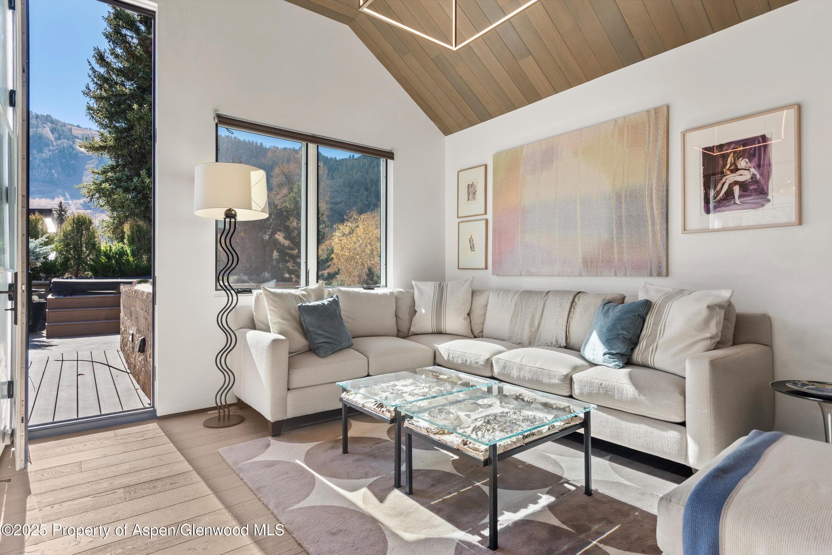 219 N Monarch Street, Aspen, CO 81611 - Photo 14