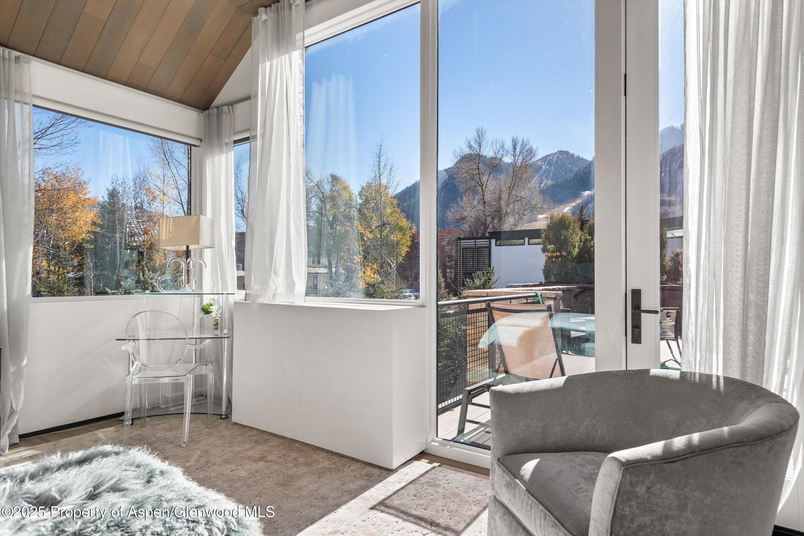219 N Monarch Street, Aspen, CO 81611 - Photo 17