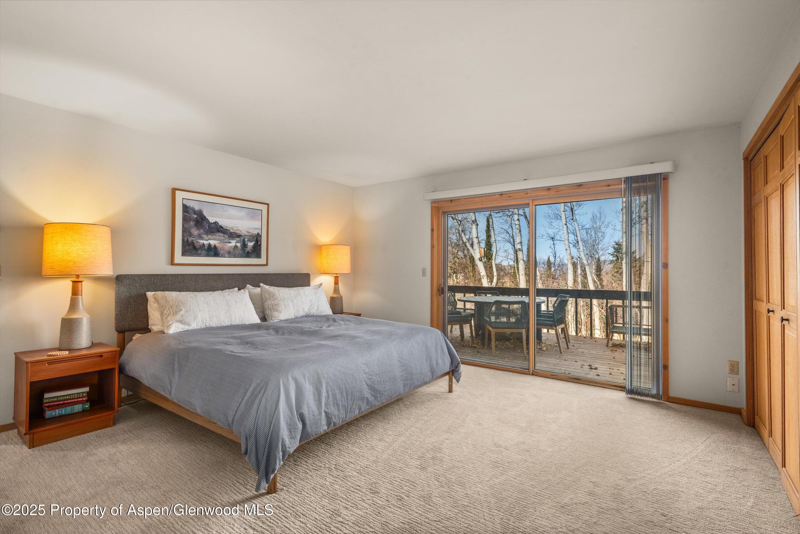 28 Larkspur Lane, Aspen, CO 81611 - Photo 16
