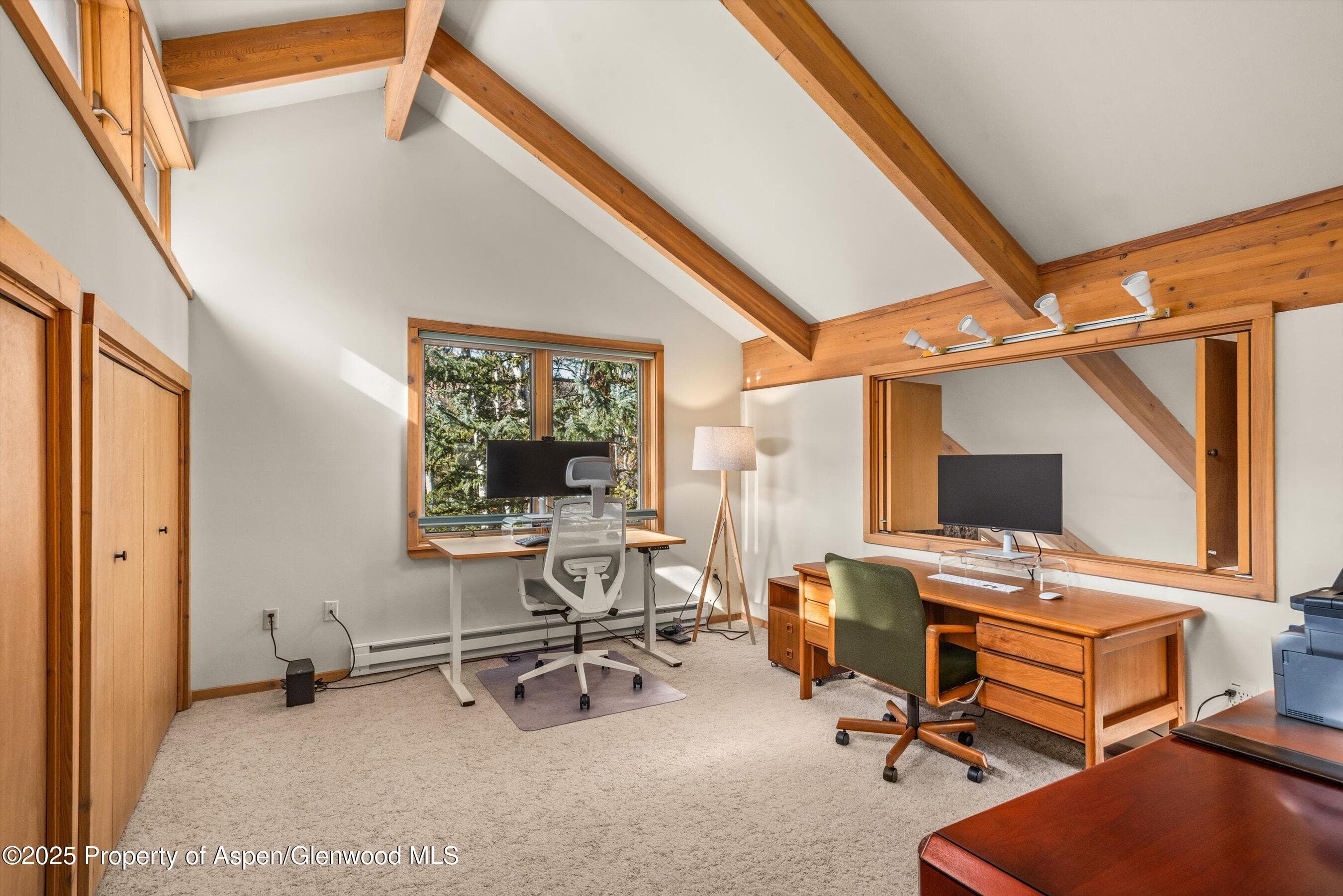 28 Larkspur Lane, Aspen, CO 81611 - Photo 18