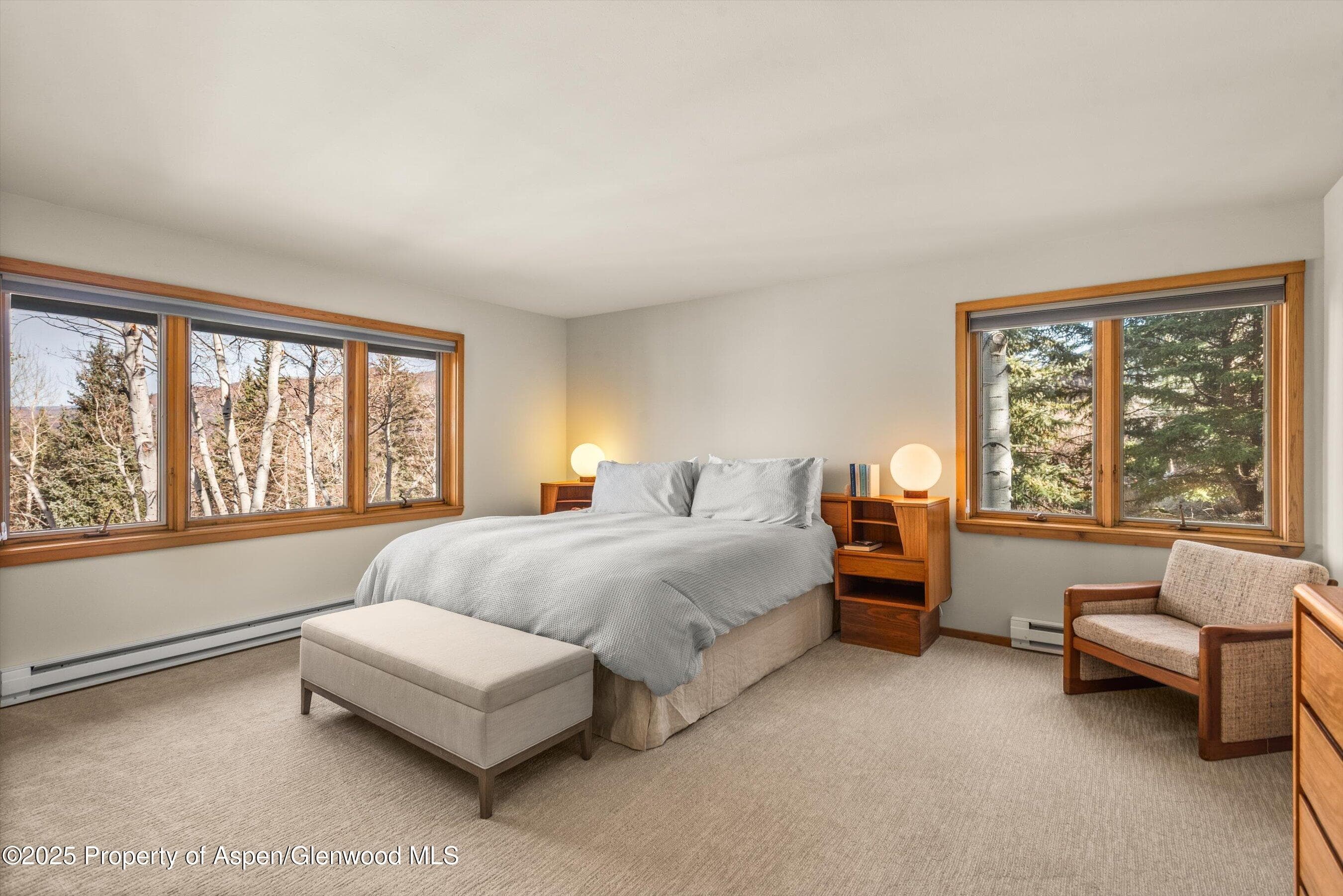 28 Larkspur Lane, Aspen, CO 81611 - Photo 19