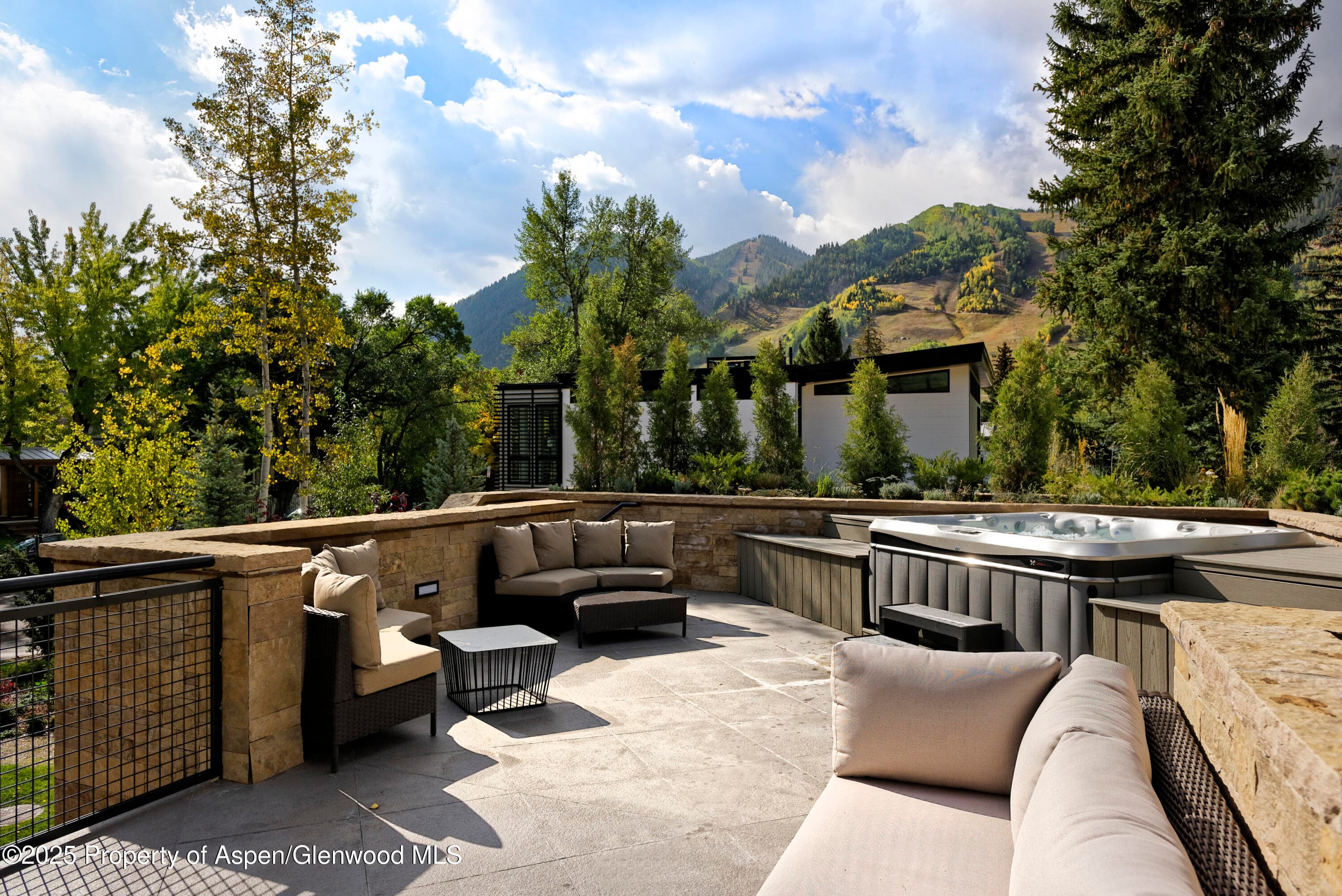 219 N Monarch Street, Aspen, CO 81611 - Photo 35