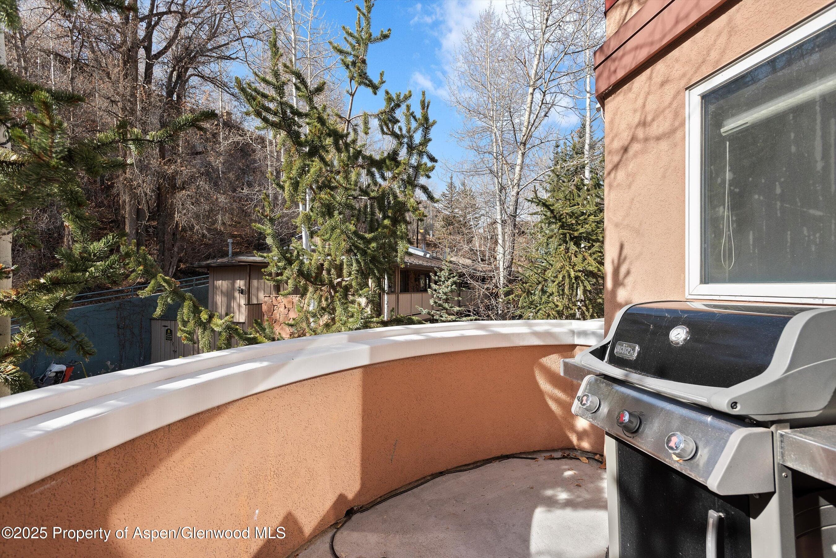 777 UTE Avenue #6, Aspen, CO 81611 - Photo 19