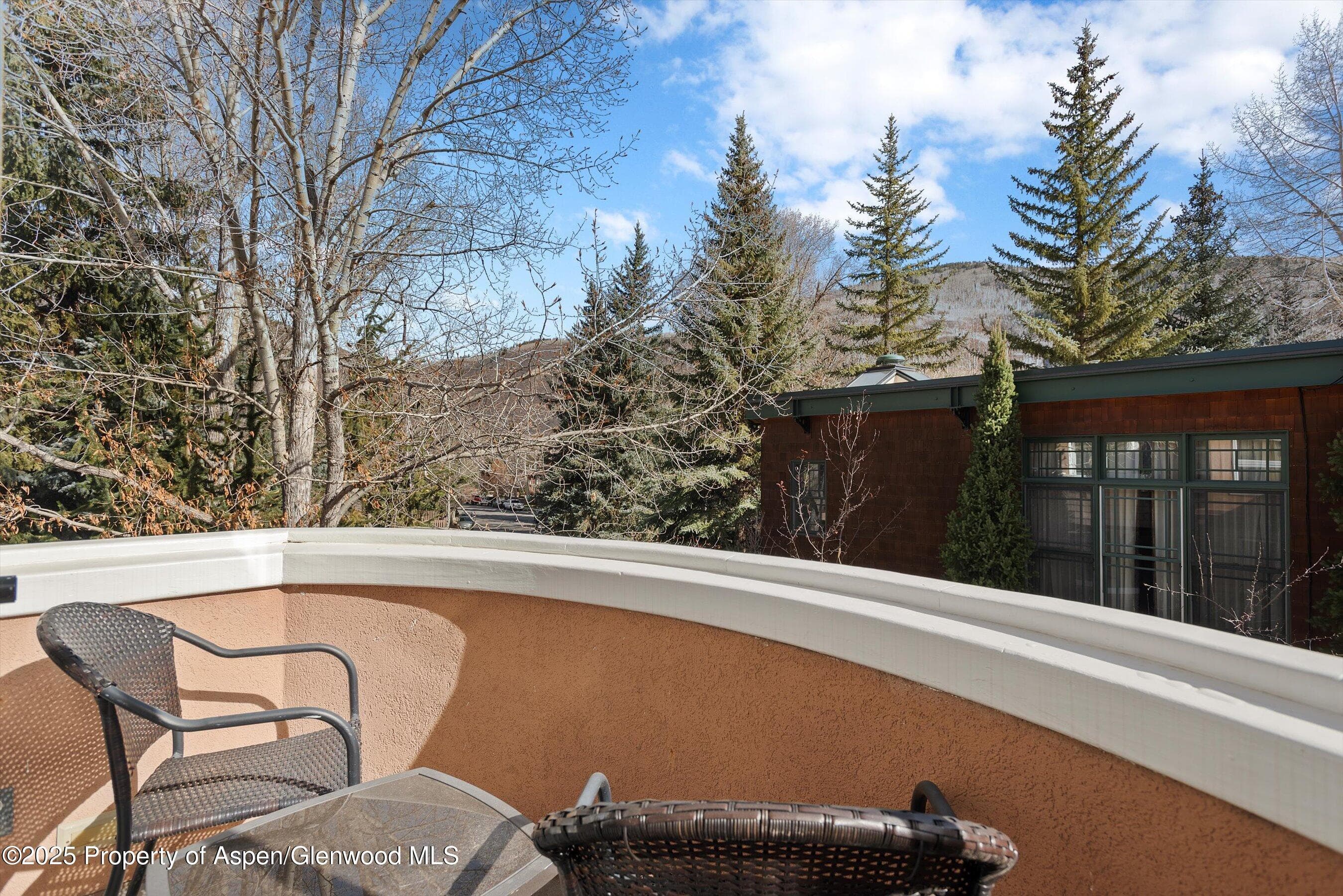 777 UTE Avenue #6, Aspen, CO 81611 - Photo 6