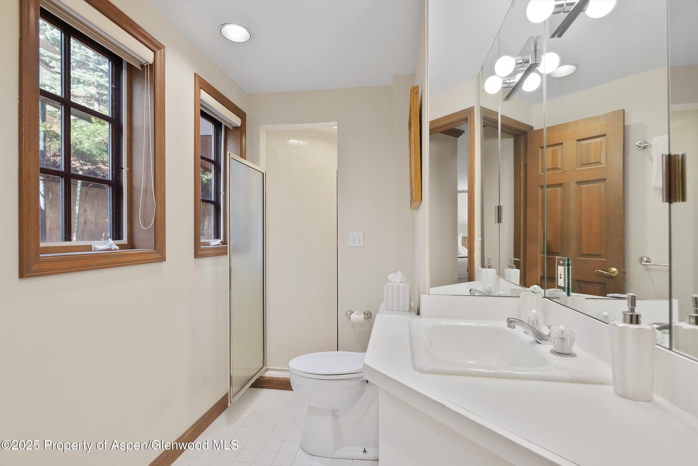 777 UTE Avenue #6, Aspen, CO 81611 - Photo 13