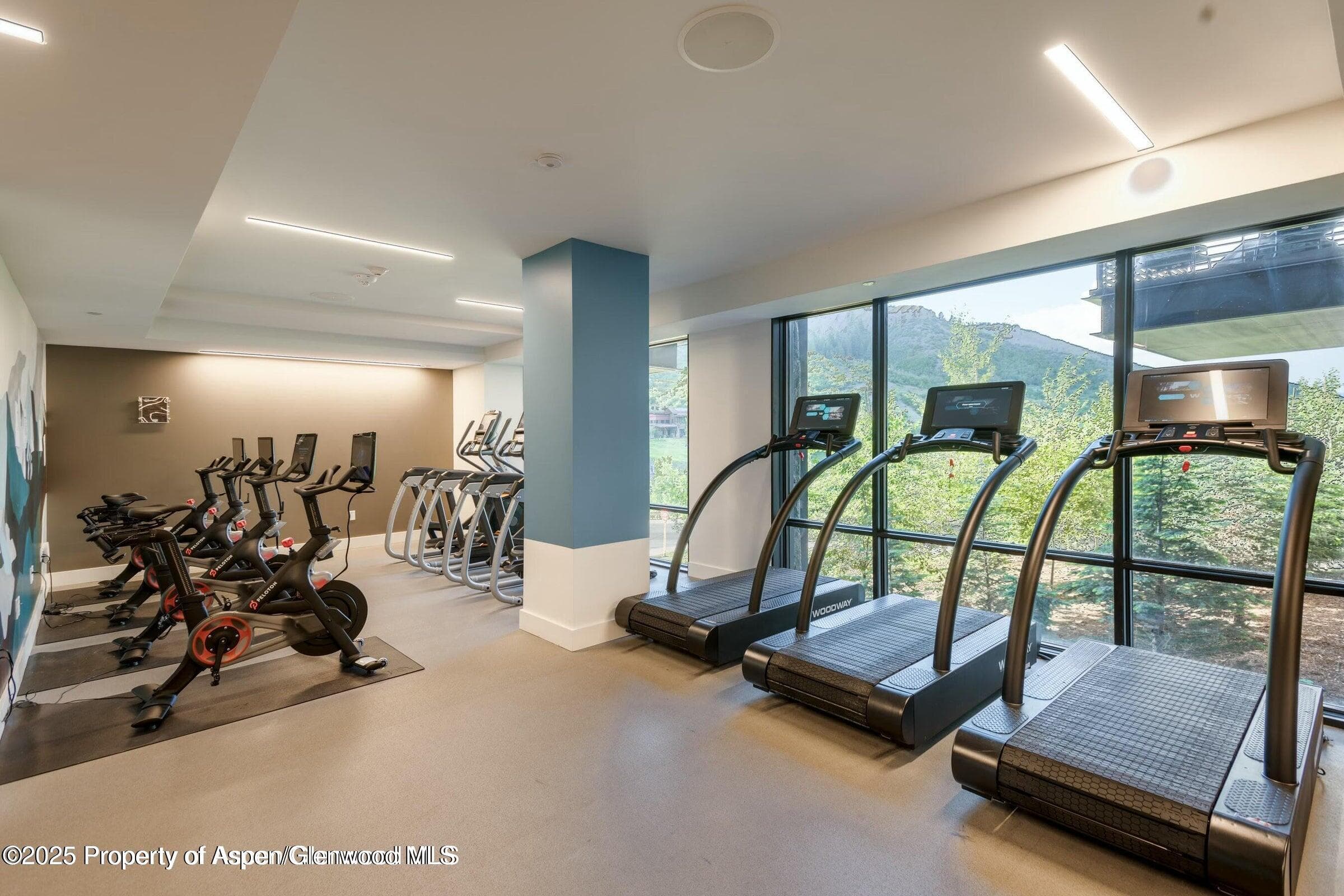 119 Wood Road 101, Snowmass Village, CO 81615 - Photo 28