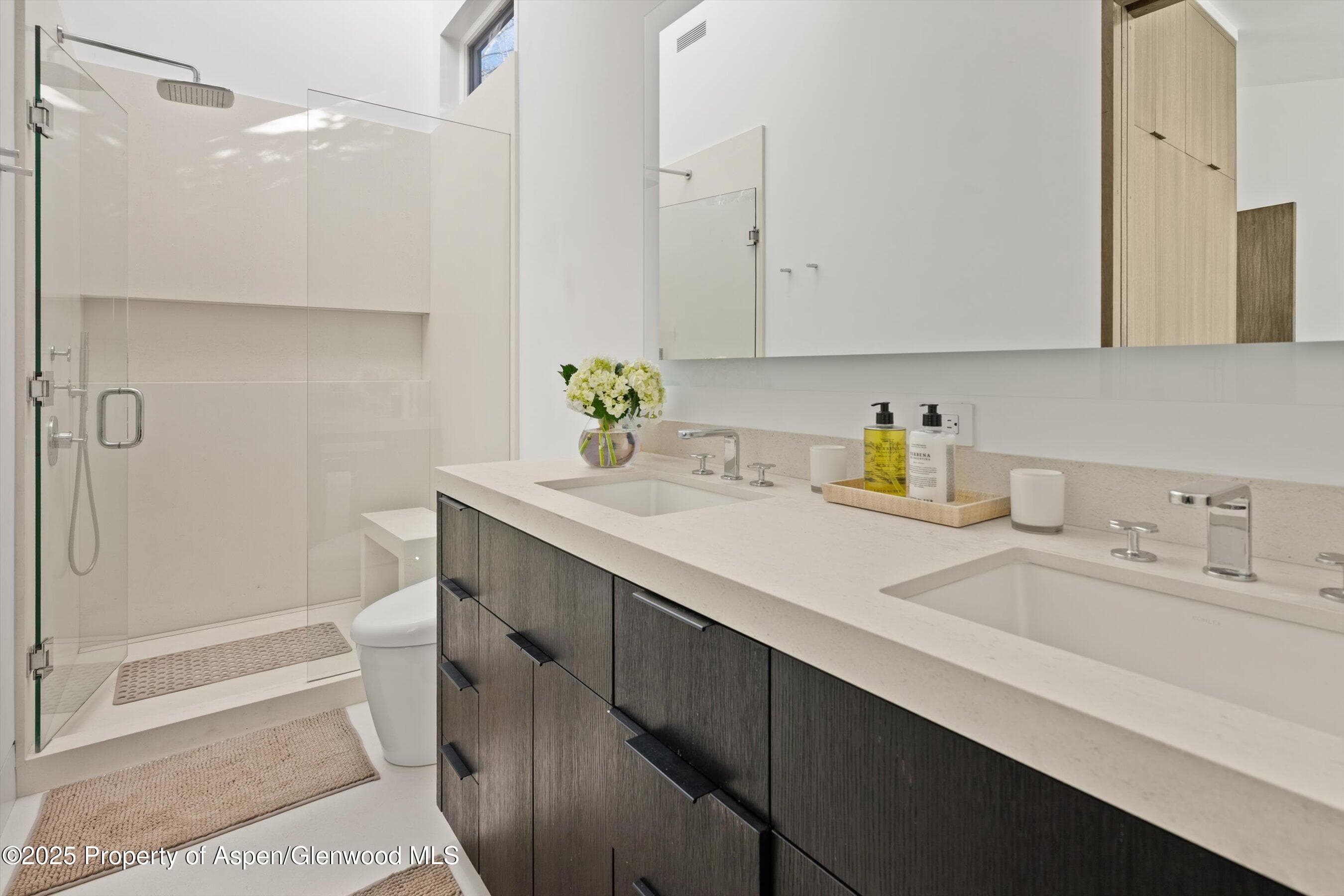 155 Lone Pine Road 12, Aspen, CO 81611 - Photo 25