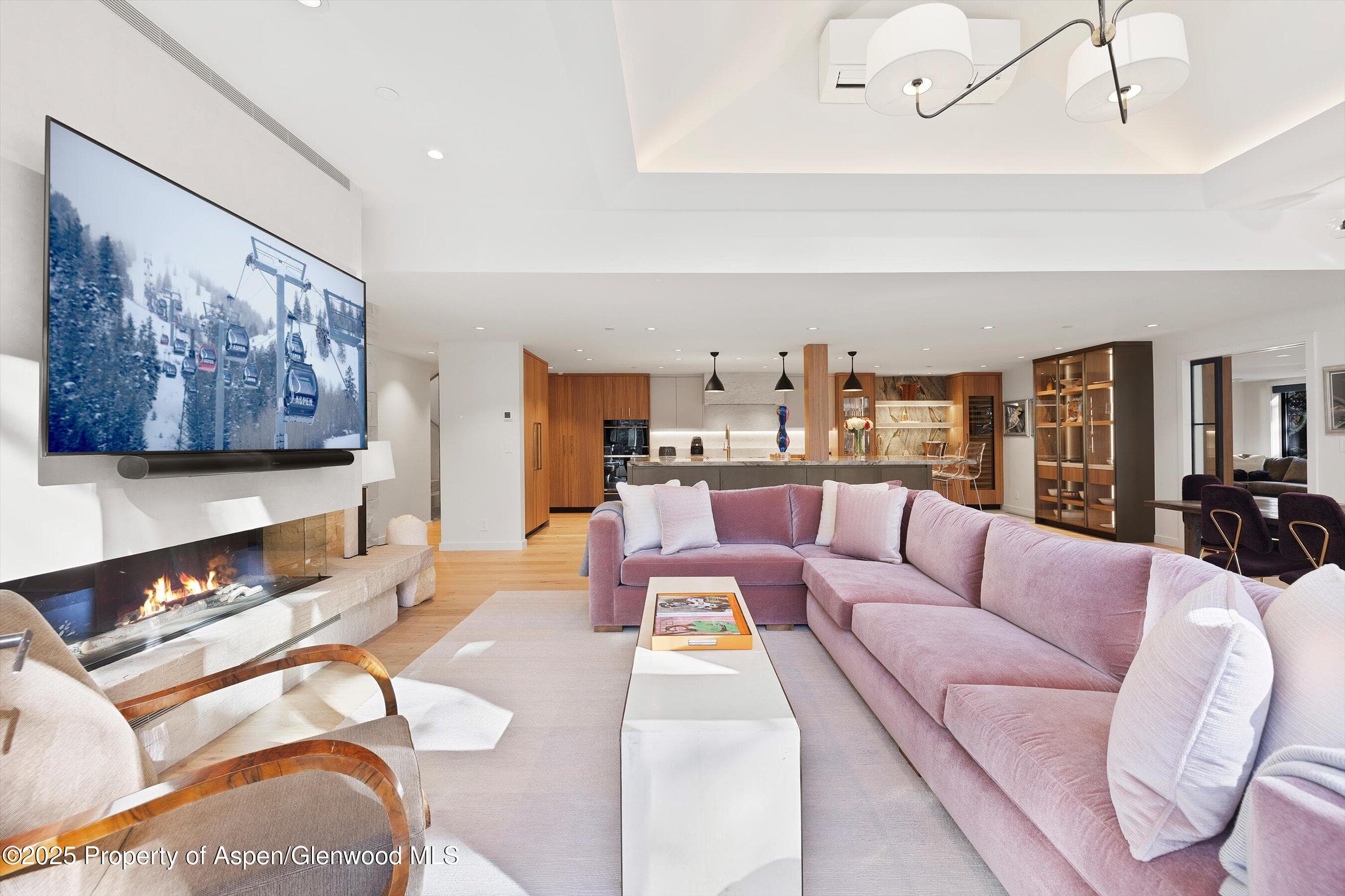55 Smuggler Grove Road, Aspen, CO 81611 - Photo 4