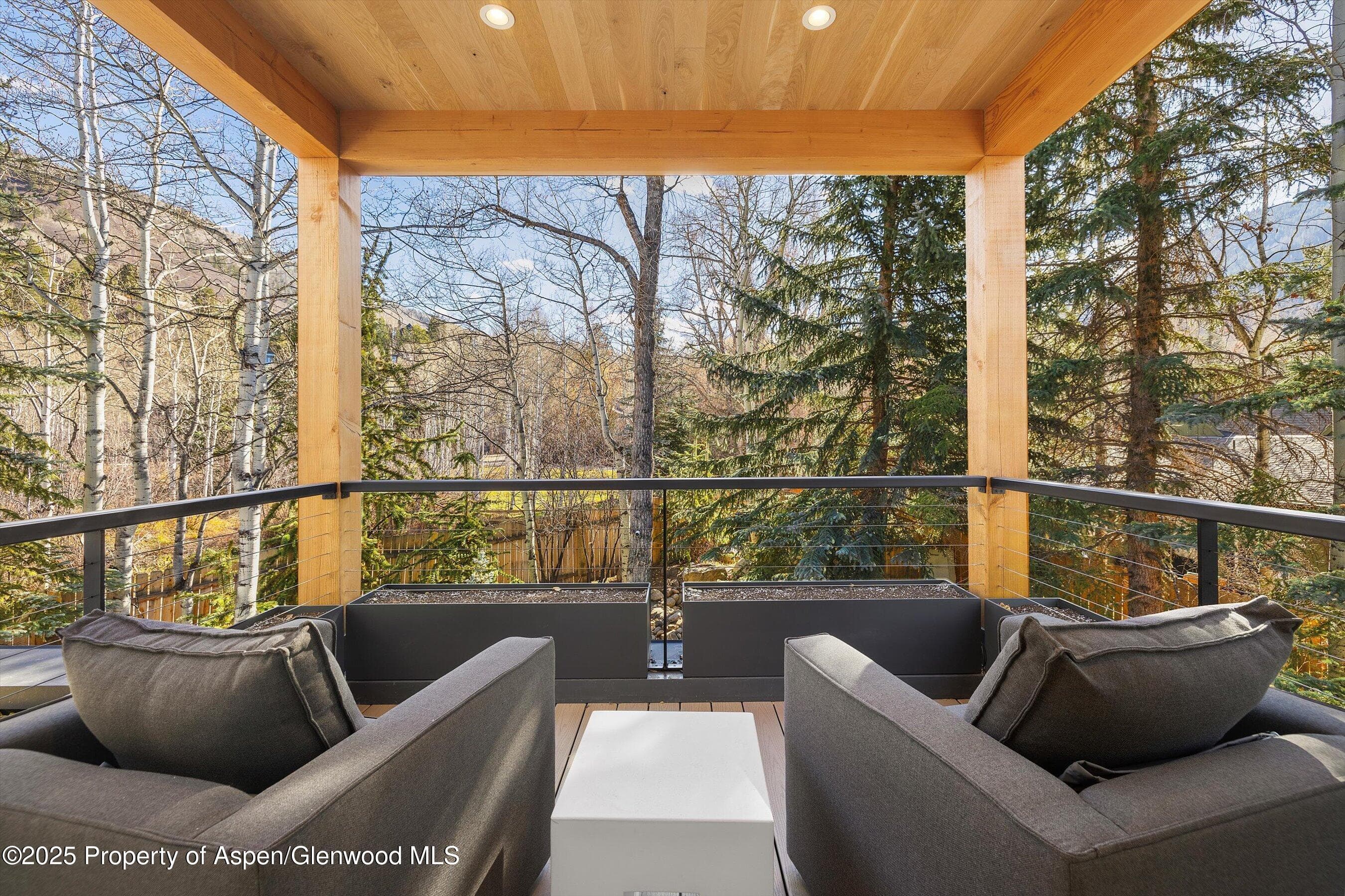 55 Smuggler Grove Road, Aspen, CO 81611 - Photo 23