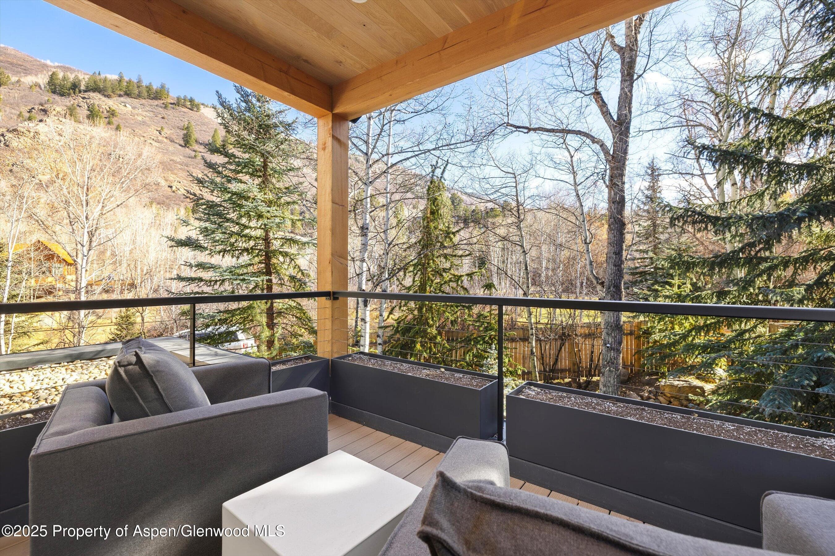 55 Smuggler Grove Road, Aspen, CO 81611 - Photo 24