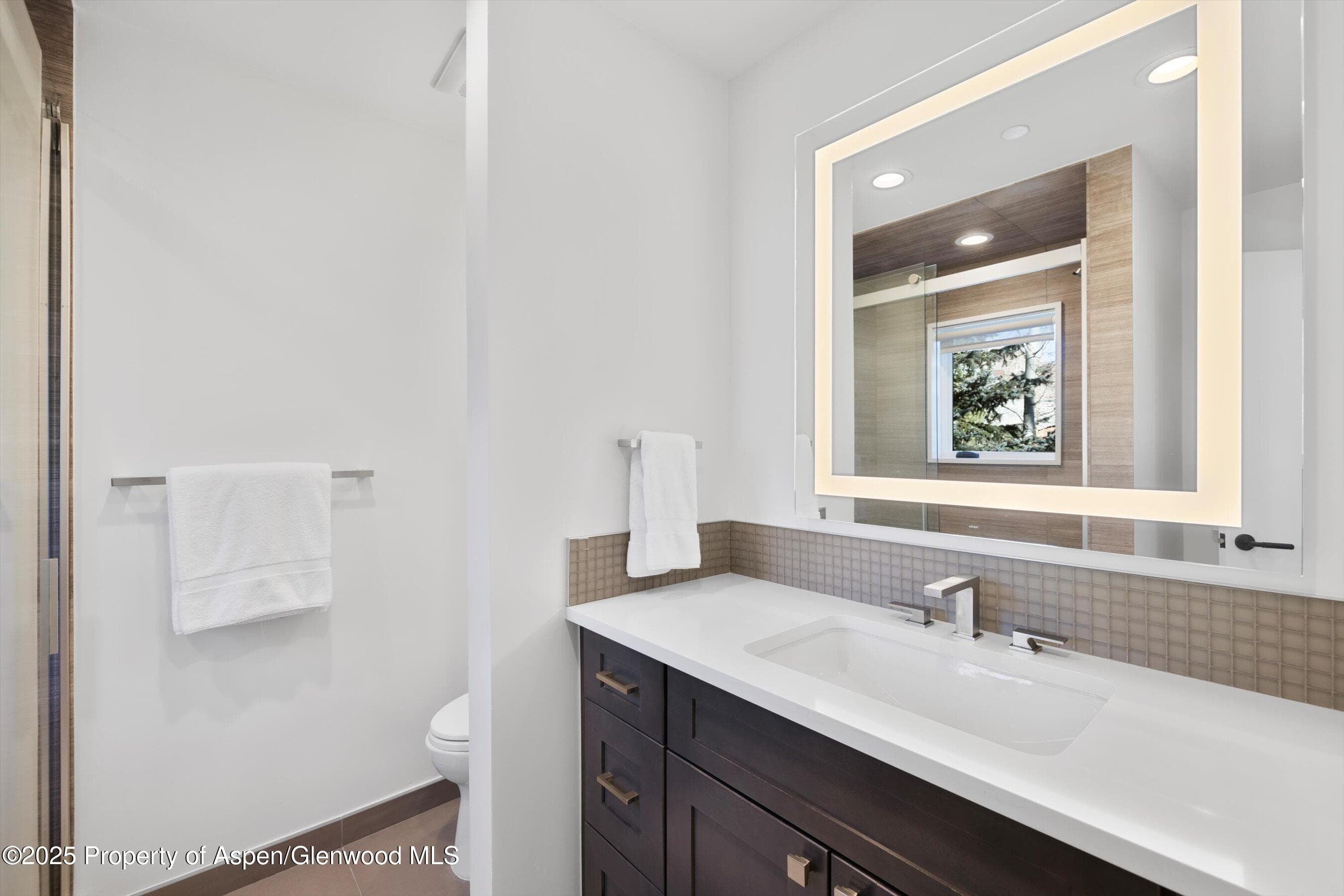 55 Smuggler Grove Road, Aspen, CO 81611 - Photo 38