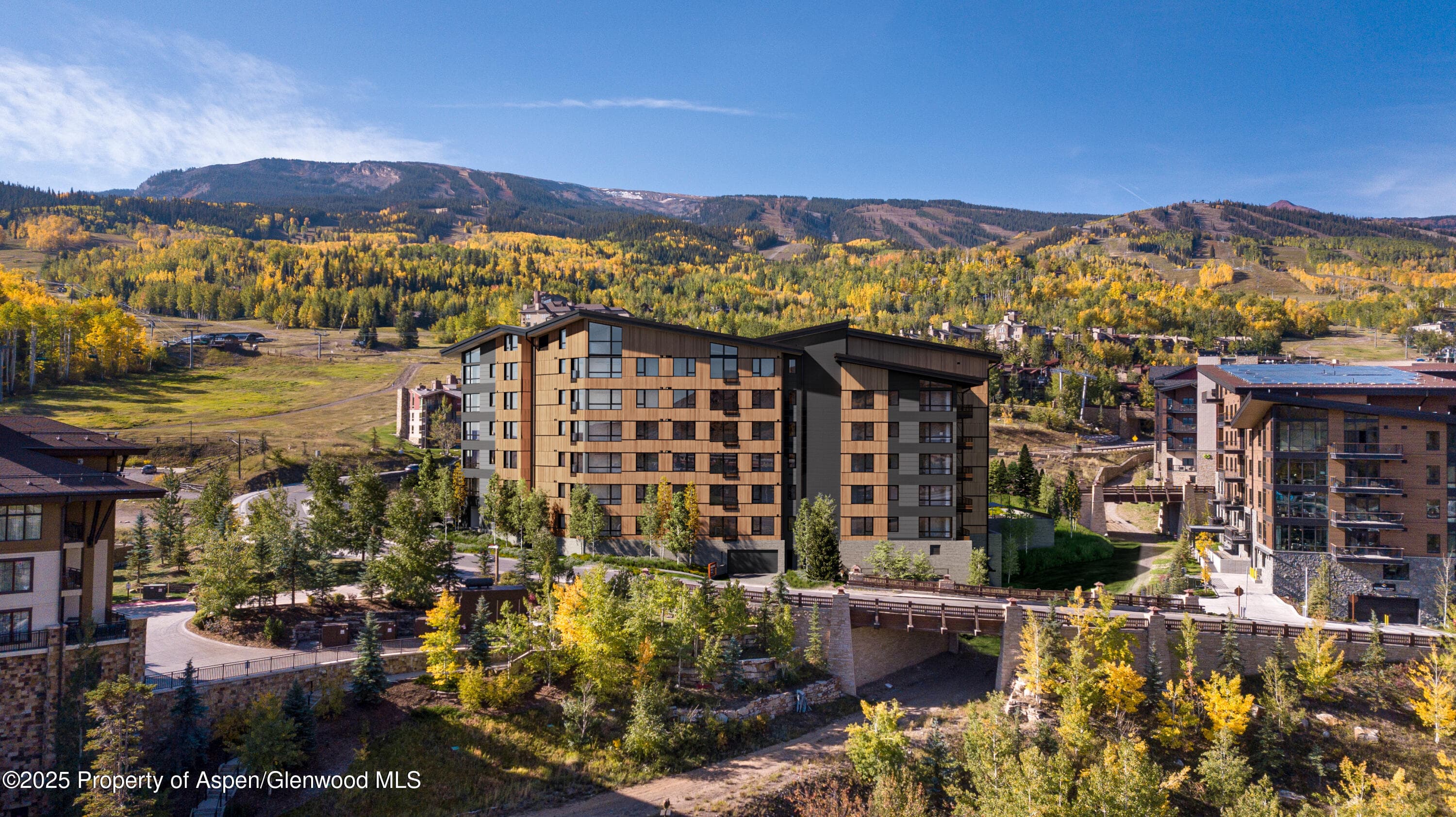 119 Wood Road 206, Snowmass Village, CO 81615 - Photo 29