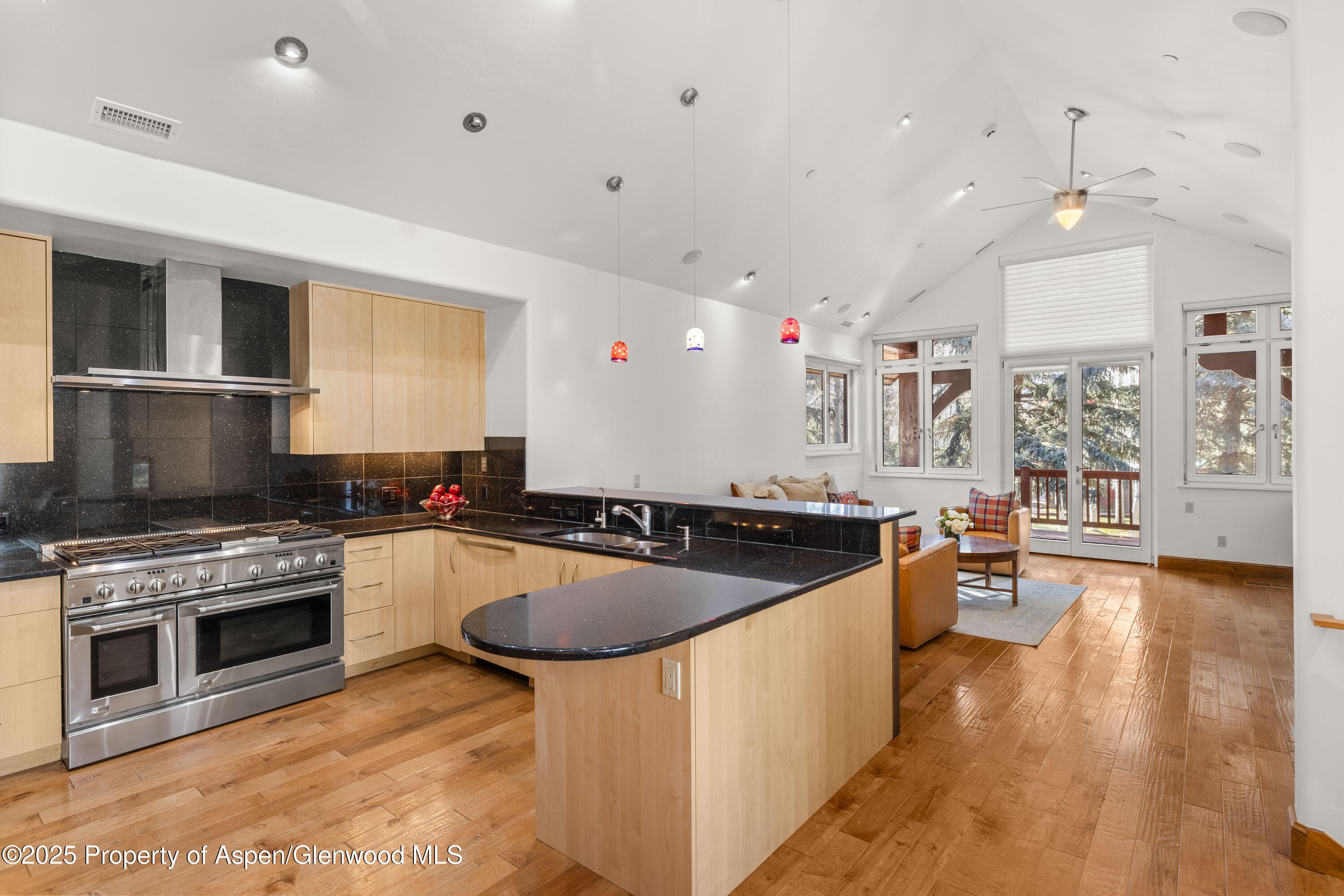 824 Bonita Drive, Aspen, CO 81611 - Photo 7