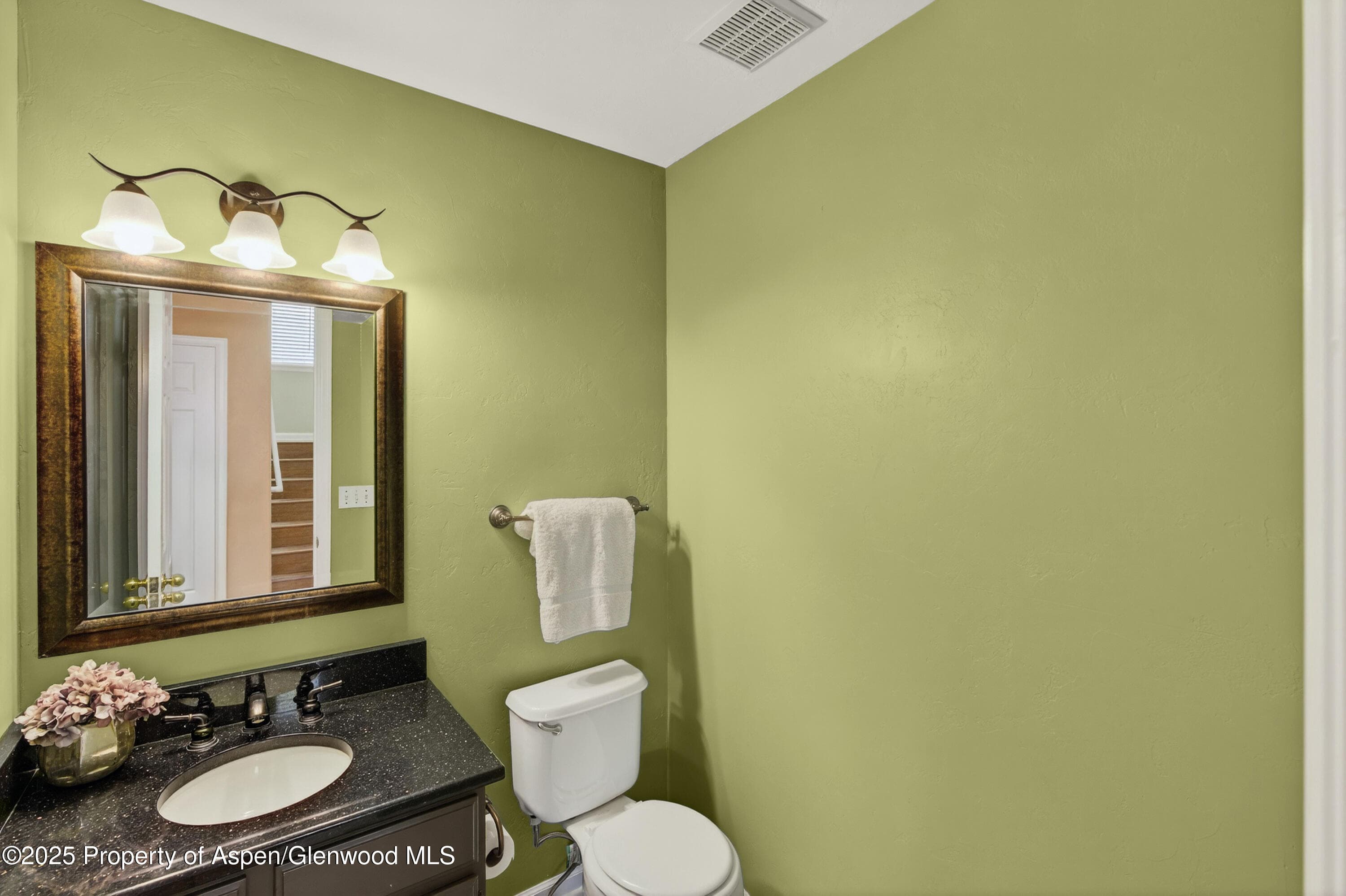 830 Donegan Road D, Glenwood Springs, CO 81601 - Photo 6