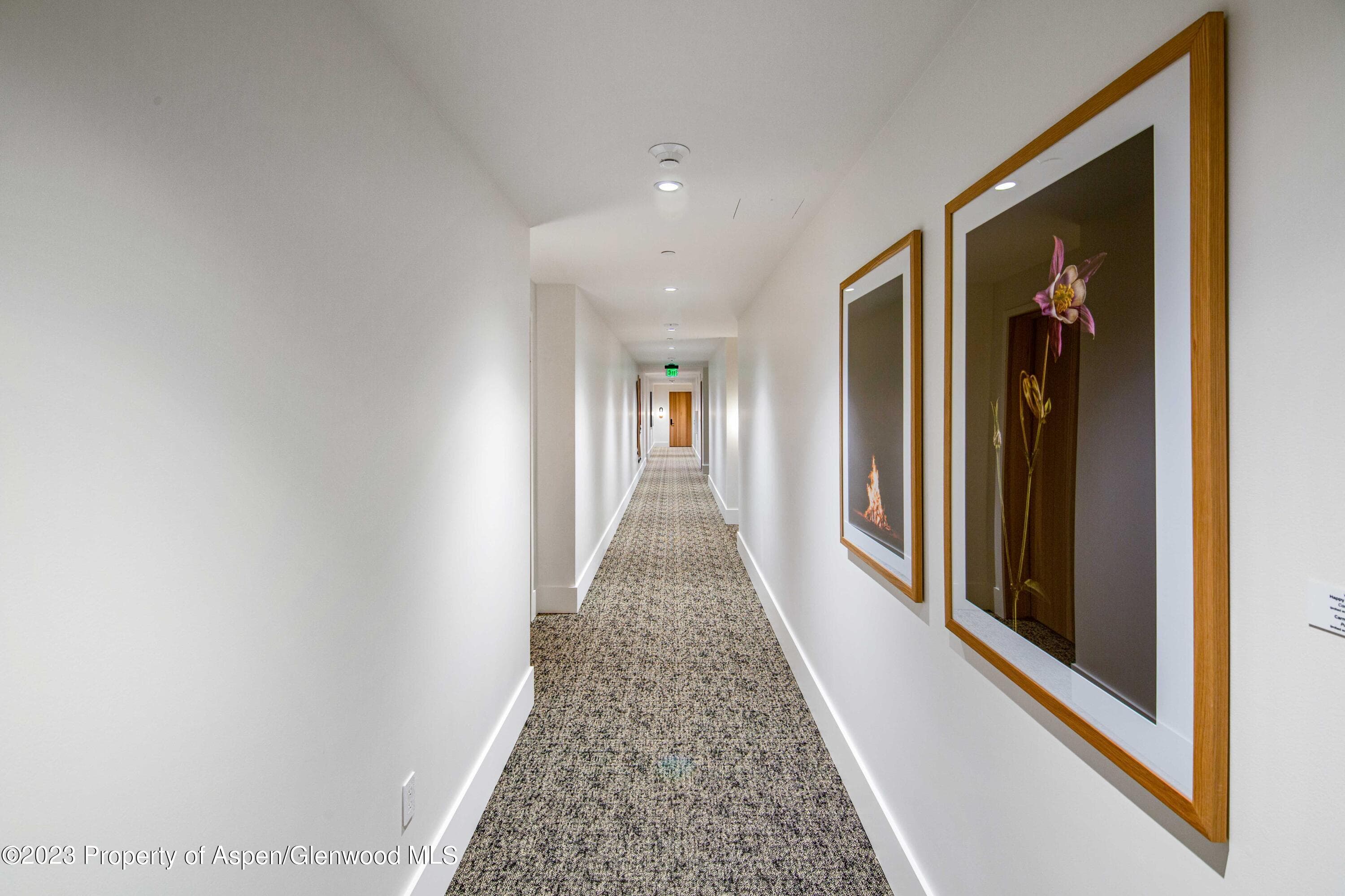 119 Wood Road 107, Snowmass Village, CO 81615 - Photo 26