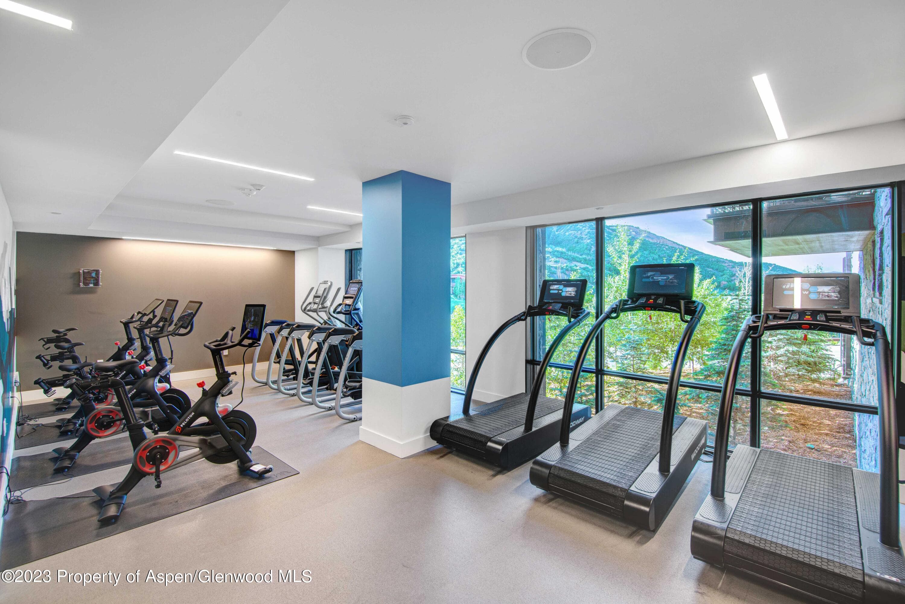 119 Wood Road 107, Snowmass Village, CO 81615 - Photo 40