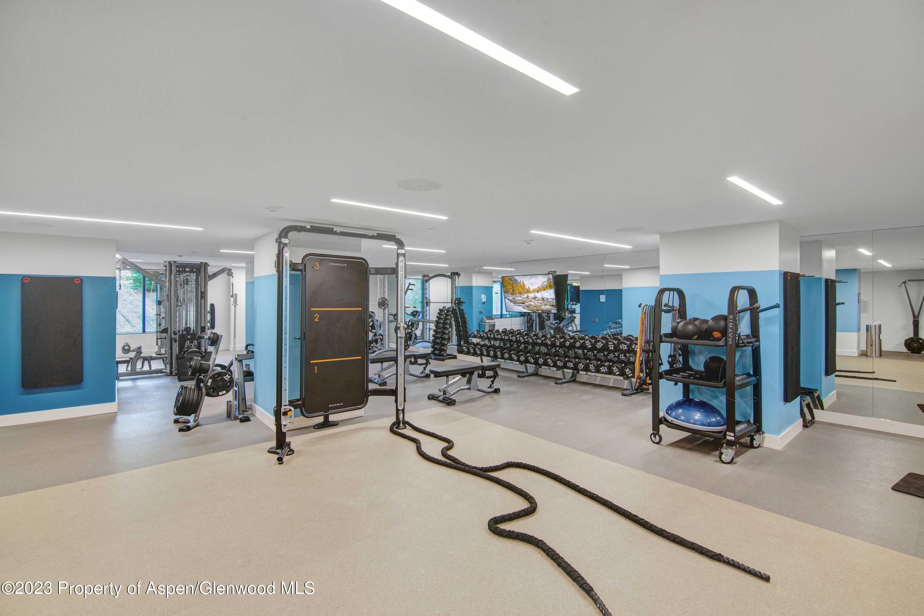 119 Wood Road 107, Snowmass Village, CO 81615 - Photo 42