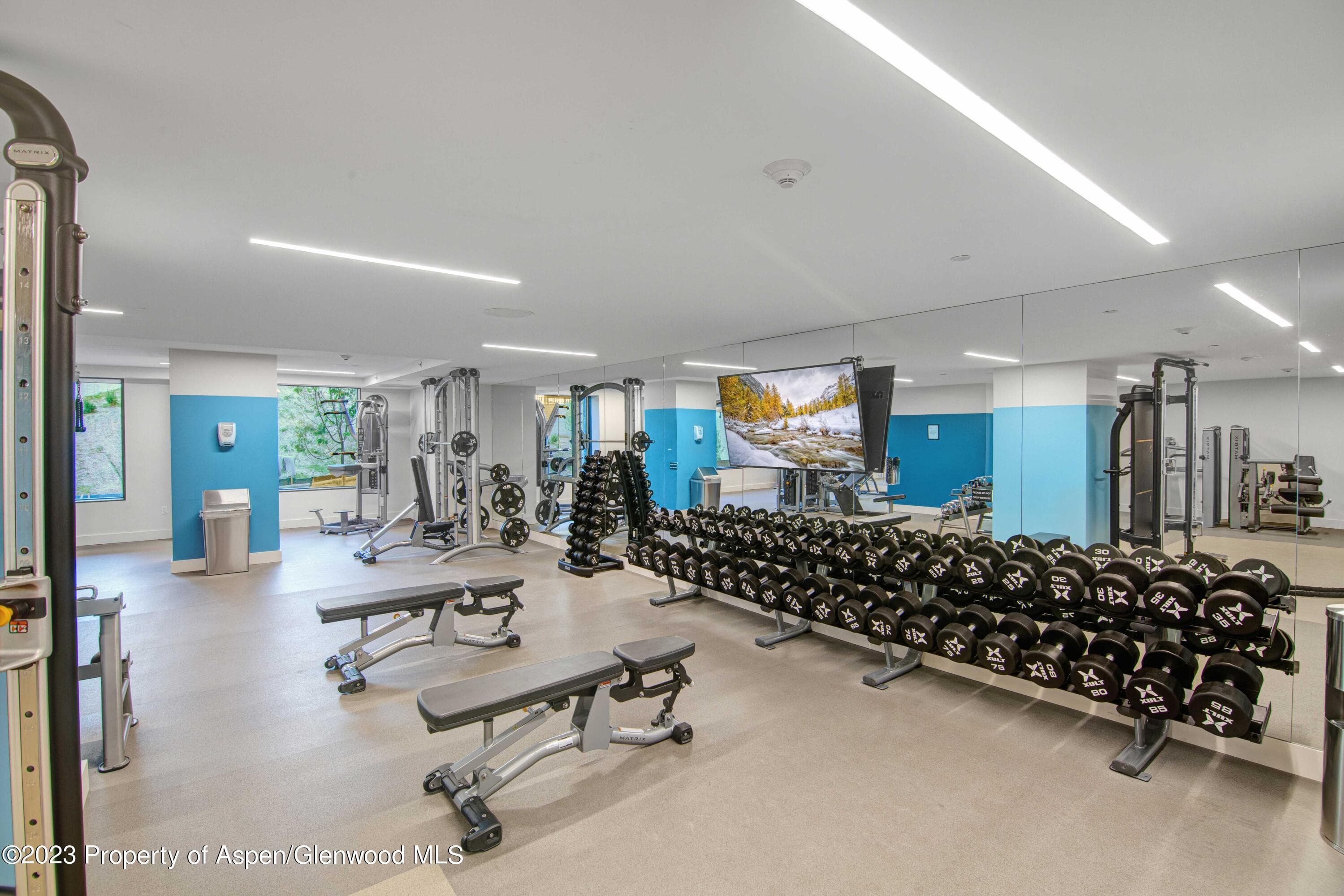 119 Wood Road 107, Snowmass Village, CO 81615 - Photo 43