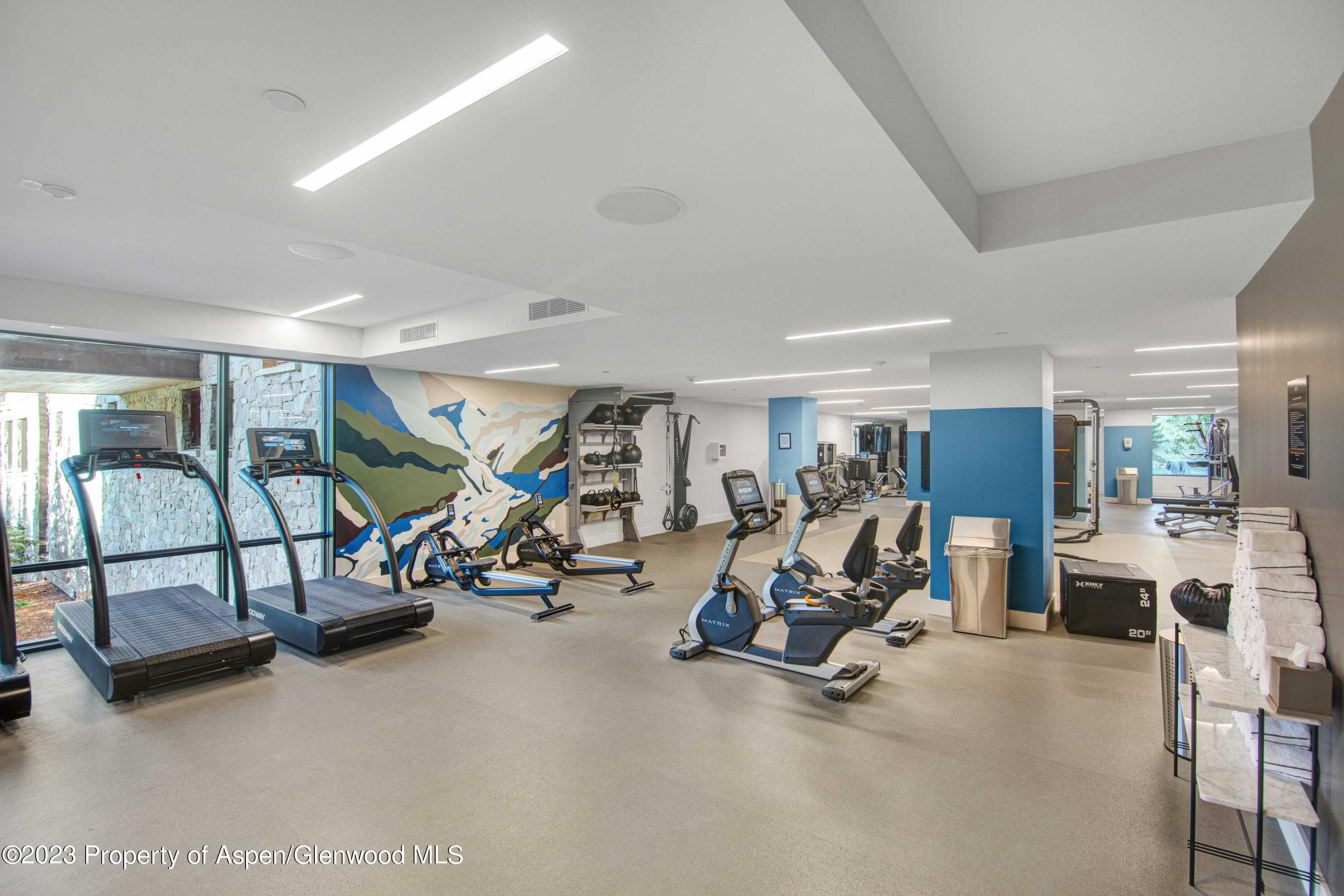 119 Wood Road 107, Snowmass Village, CO 81615 - Photo 45