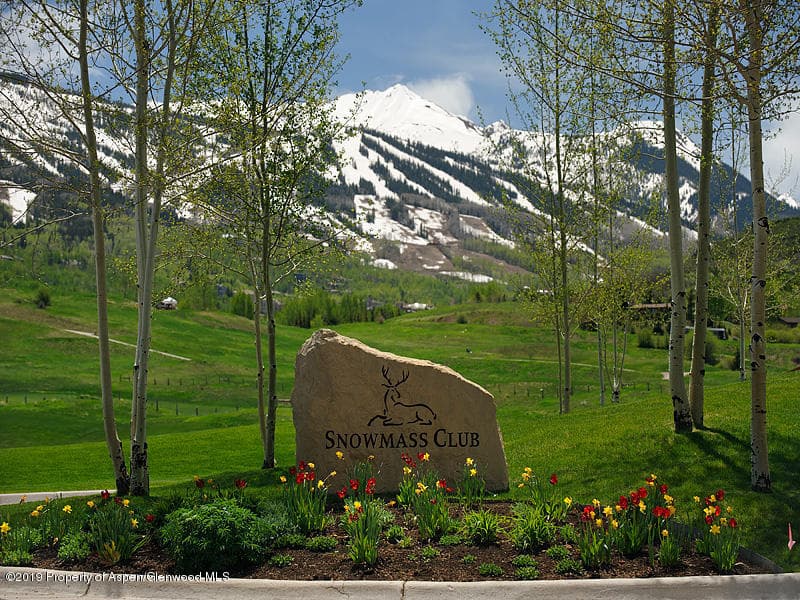 0239 Snowmass Club Circle 110, Snowmass Village, CO 81615 - Photo 24