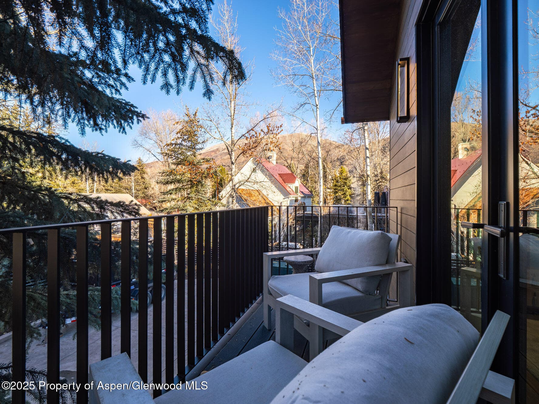 936 King Street, Aspen, CO 81611 - Photo 42