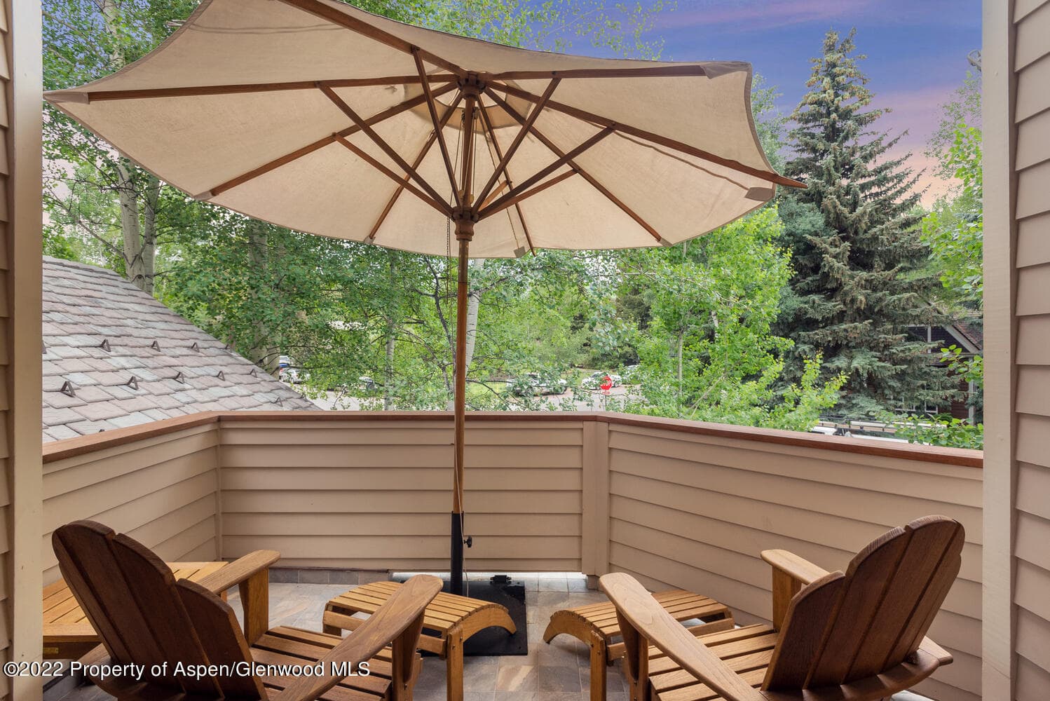 504 N 8th Street, Aspen, CO 81611 - Photo 17
