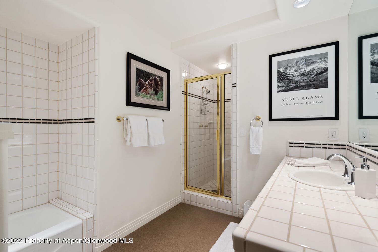 504 N 8th Street, Aspen, CO 81611 - Photo 25