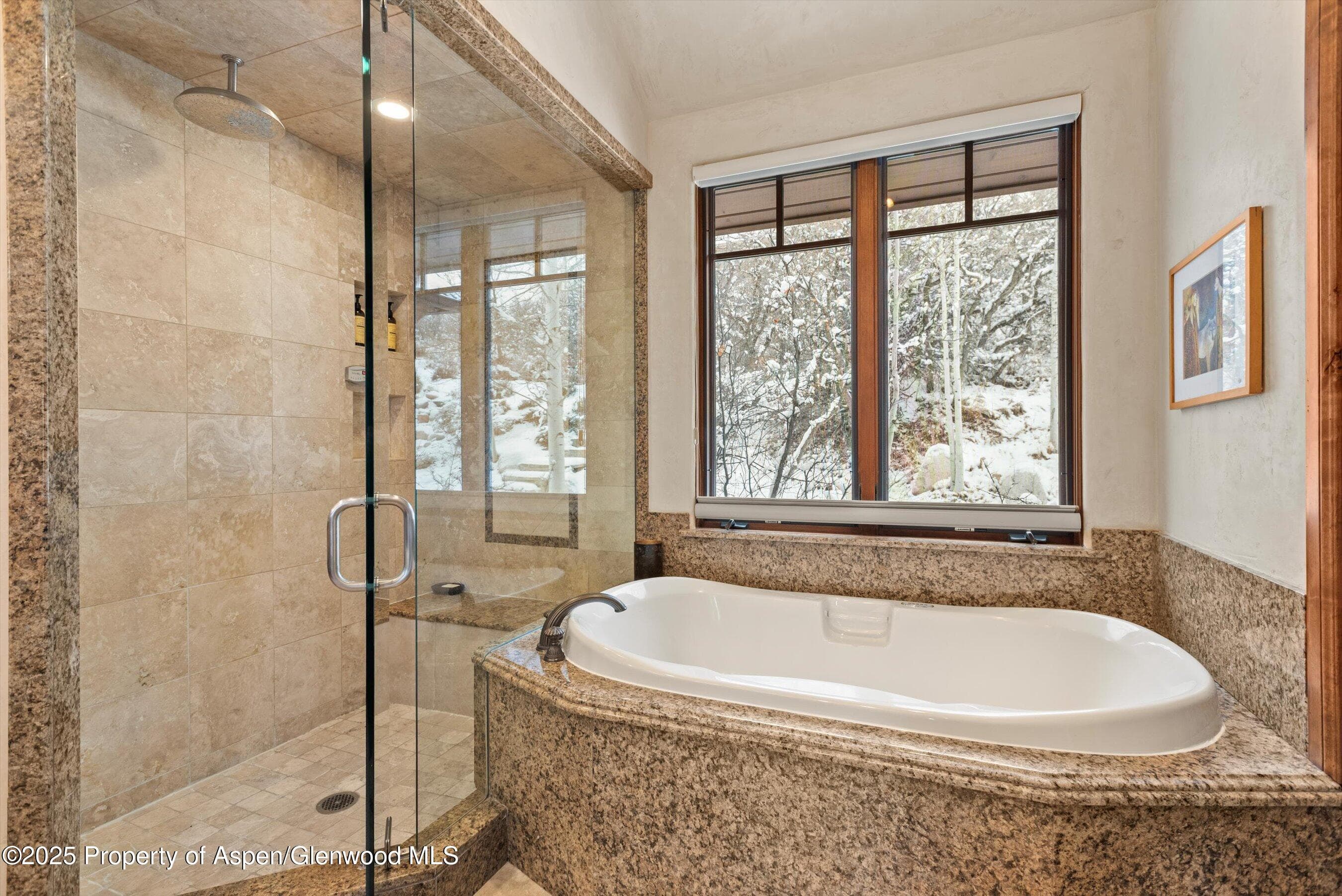 121 Oak Ridge Road, Snowmass Village, CO 81615 - Photo 18
