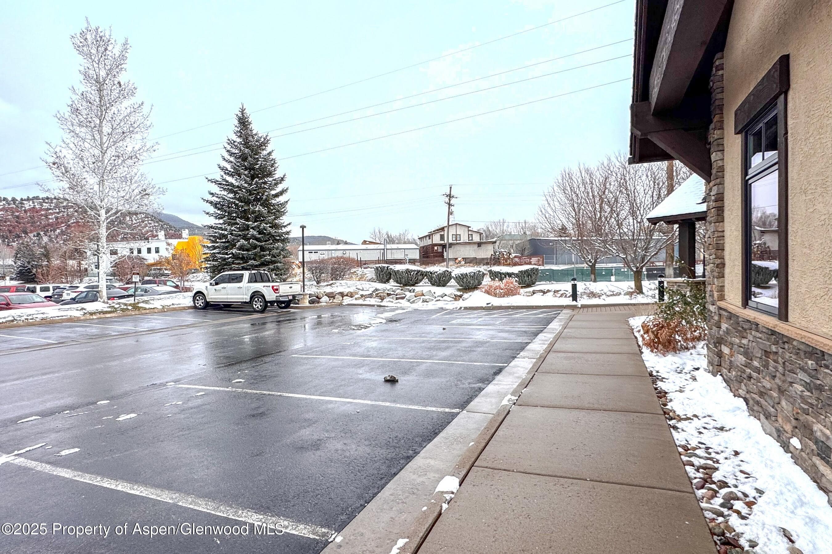 409 Dolores Way, Carbondale, CO 81623 - Photo 13