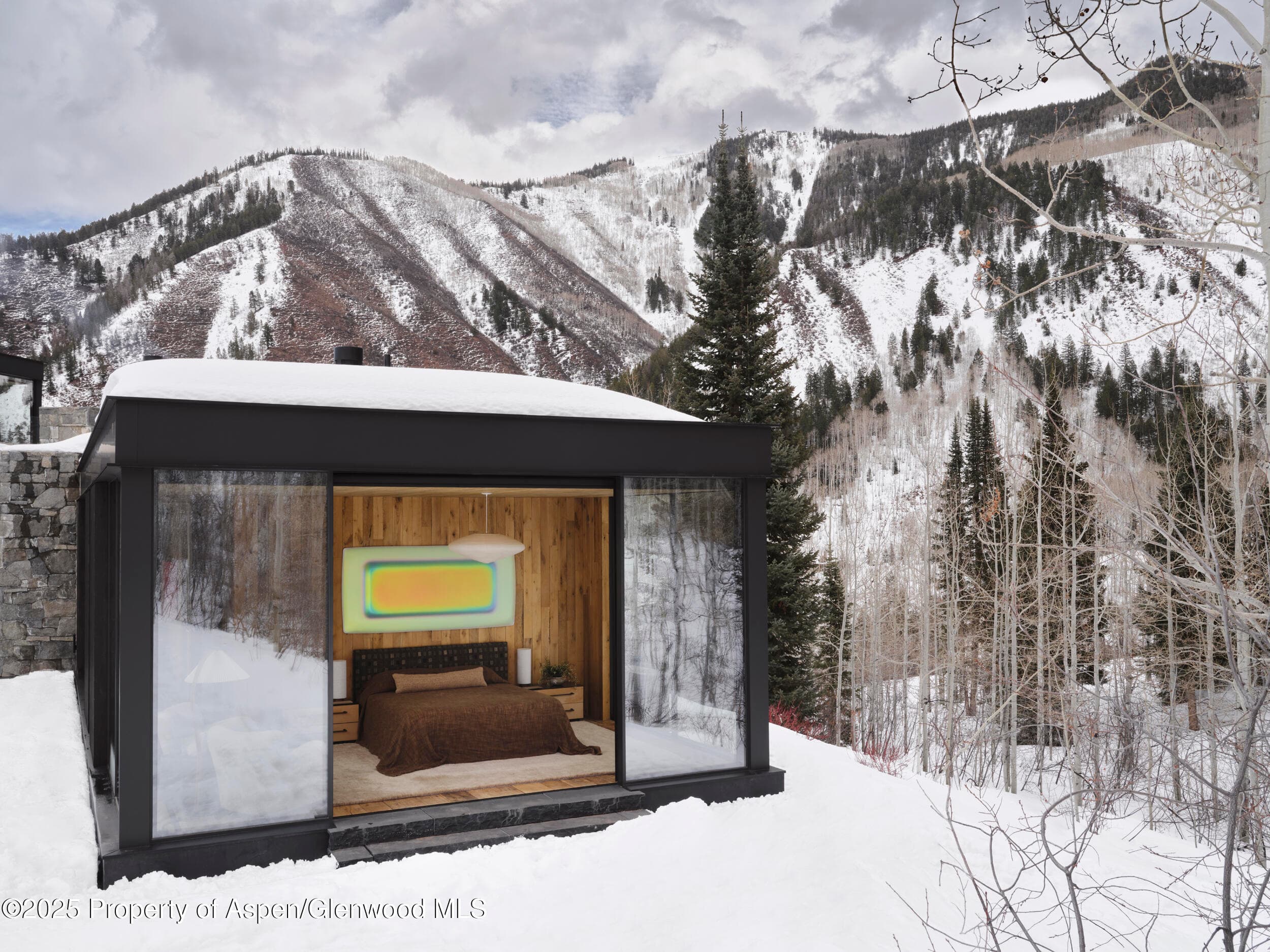 724 N Hayden Road, Aspen, CO 81611 - Photo 49