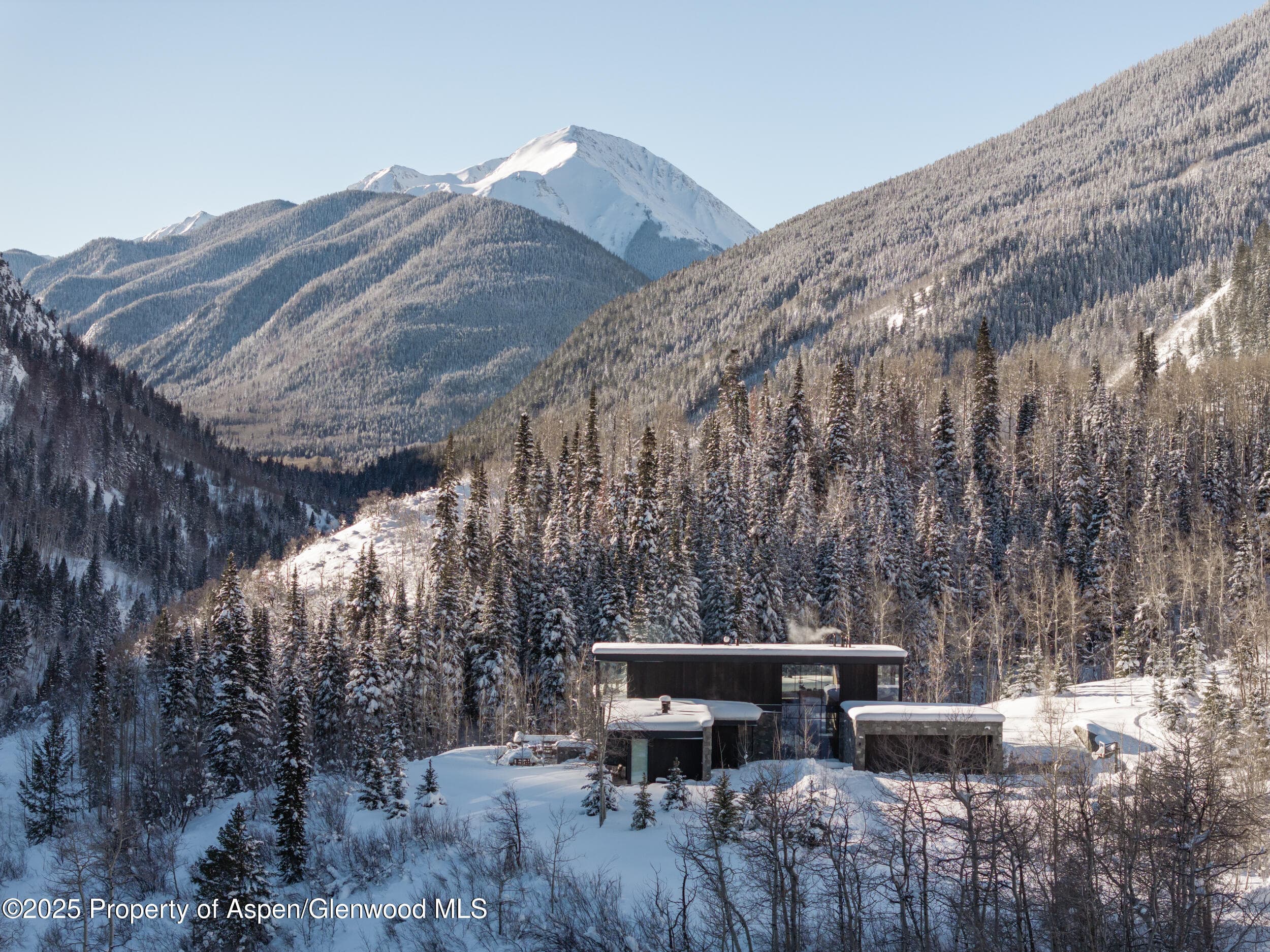 724 N Hayden Road, Aspen, CO 81611 - Photo 47