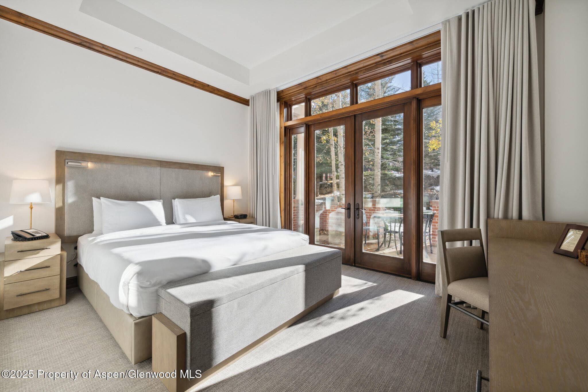 415 E Dean St, Unit 4, Weeks 5 & 6, Aspen, CO 81611 - Photo 10