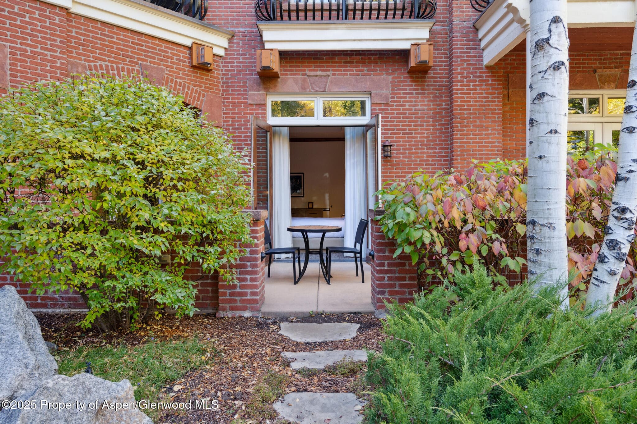 415 E Dean St, Unit 4, Weeks 5 & 6, Aspen, CO 81611 - Photo 22