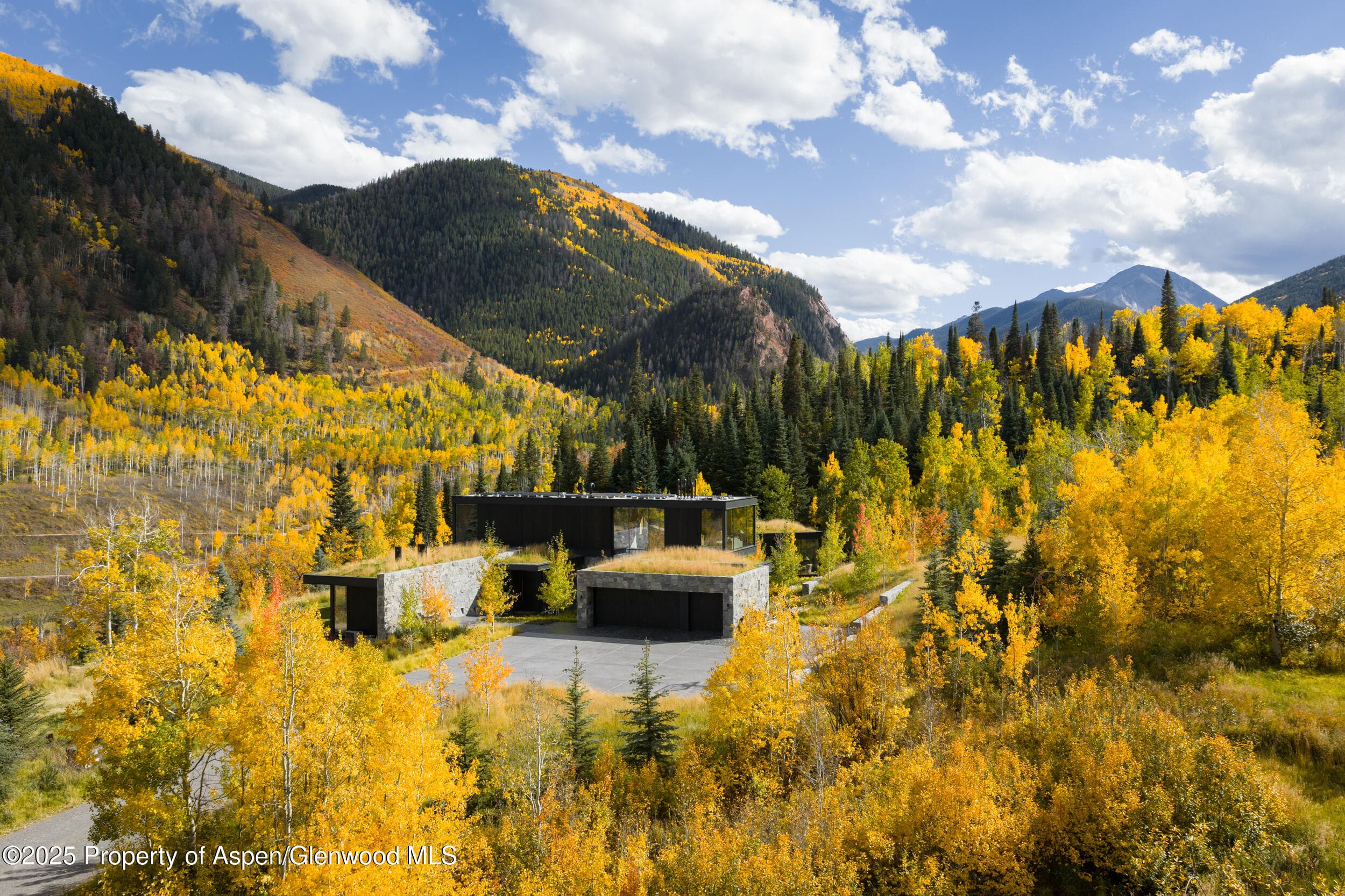 724 N Hayden Road, Aspen, CO 81611 - Photo 45
