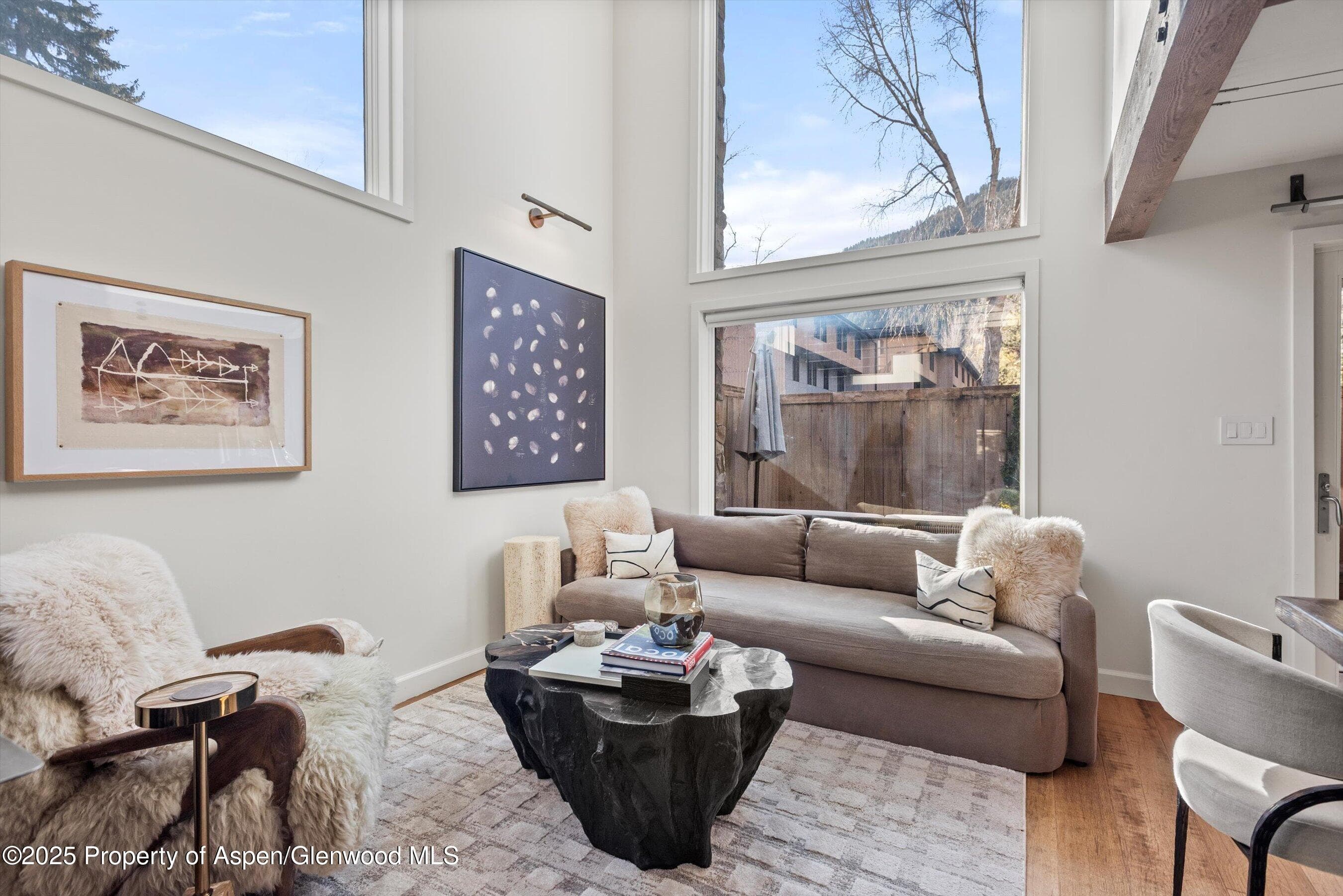 1024 E Cooper Avenue 1, Aspen, CO 81611 - Photo 2