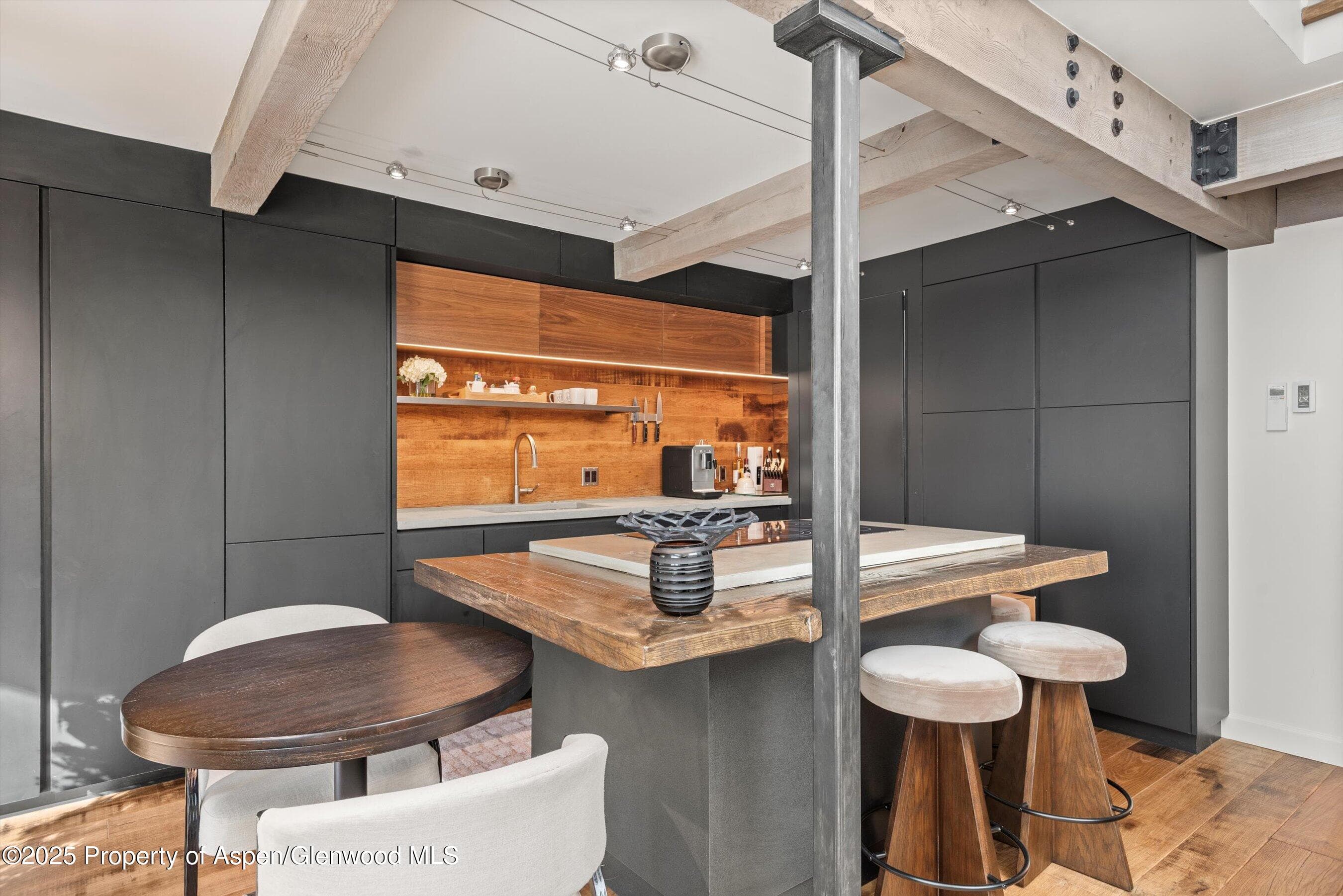 1024 E Cooper Avenue 1, Aspen, CO 81611 - Photo 6