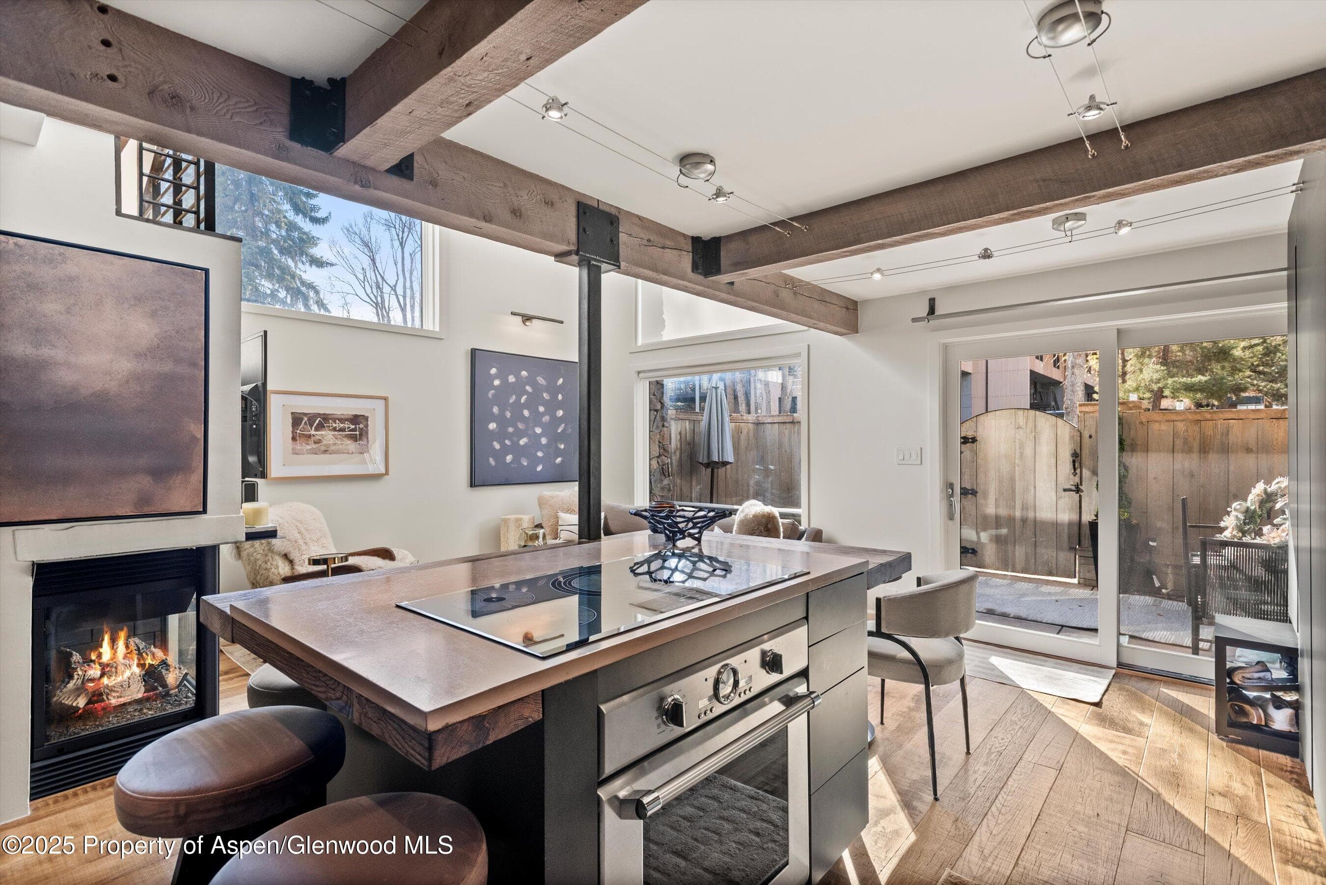 1024 E Cooper Avenue 1, Aspen, CO 81611 - Photo 10