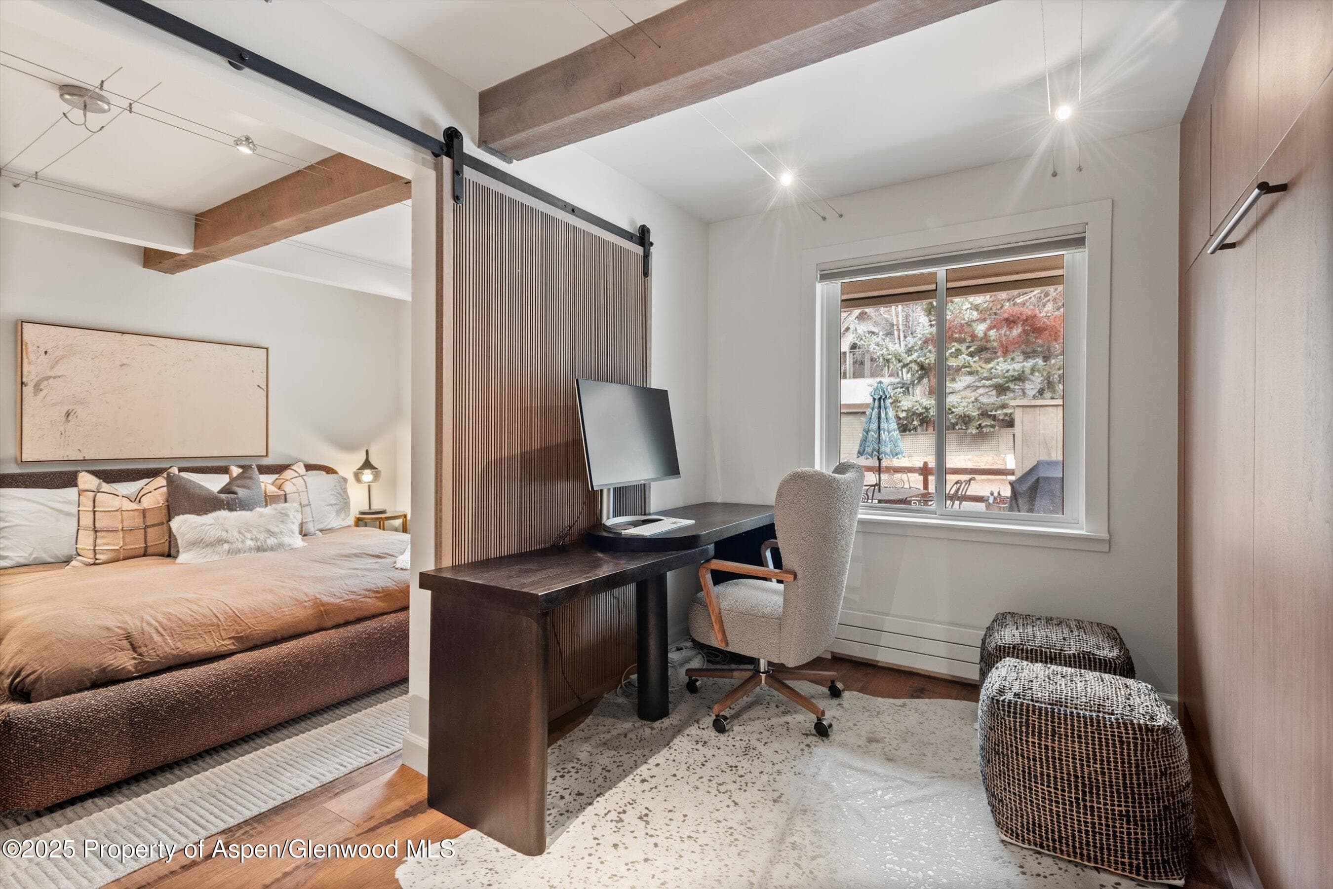 1024 E Cooper Avenue 1, Aspen, CO 81611 - Photo 11