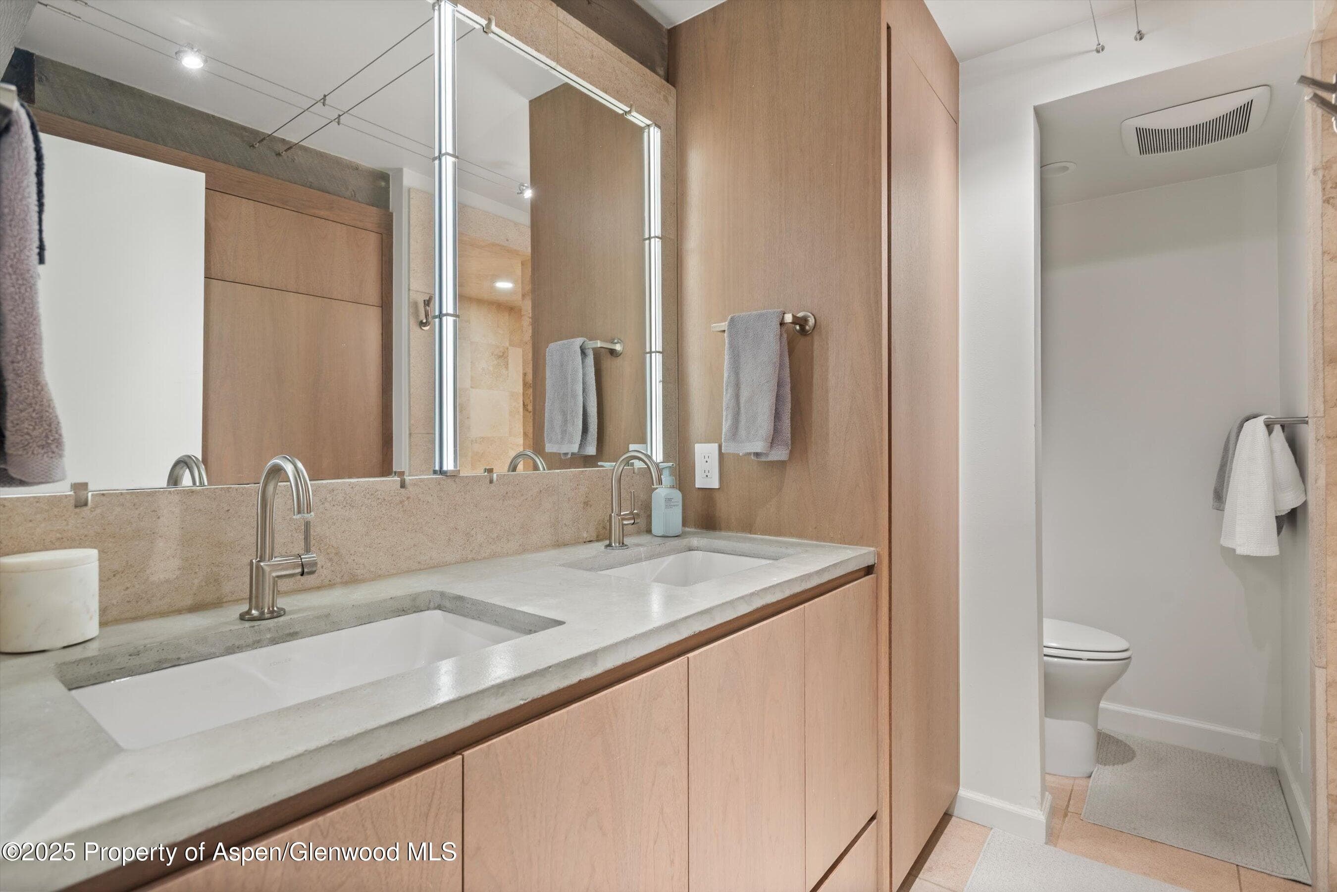 1024 E Cooper Avenue 1, Aspen, CO 81611 - Photo 14