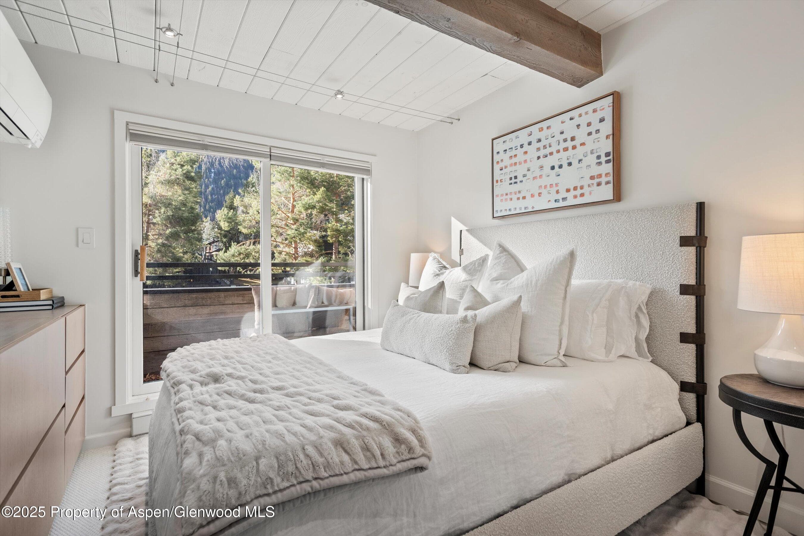 1024 E Cooper Avenue 1, Aspen, CO 81611 - Photo 18