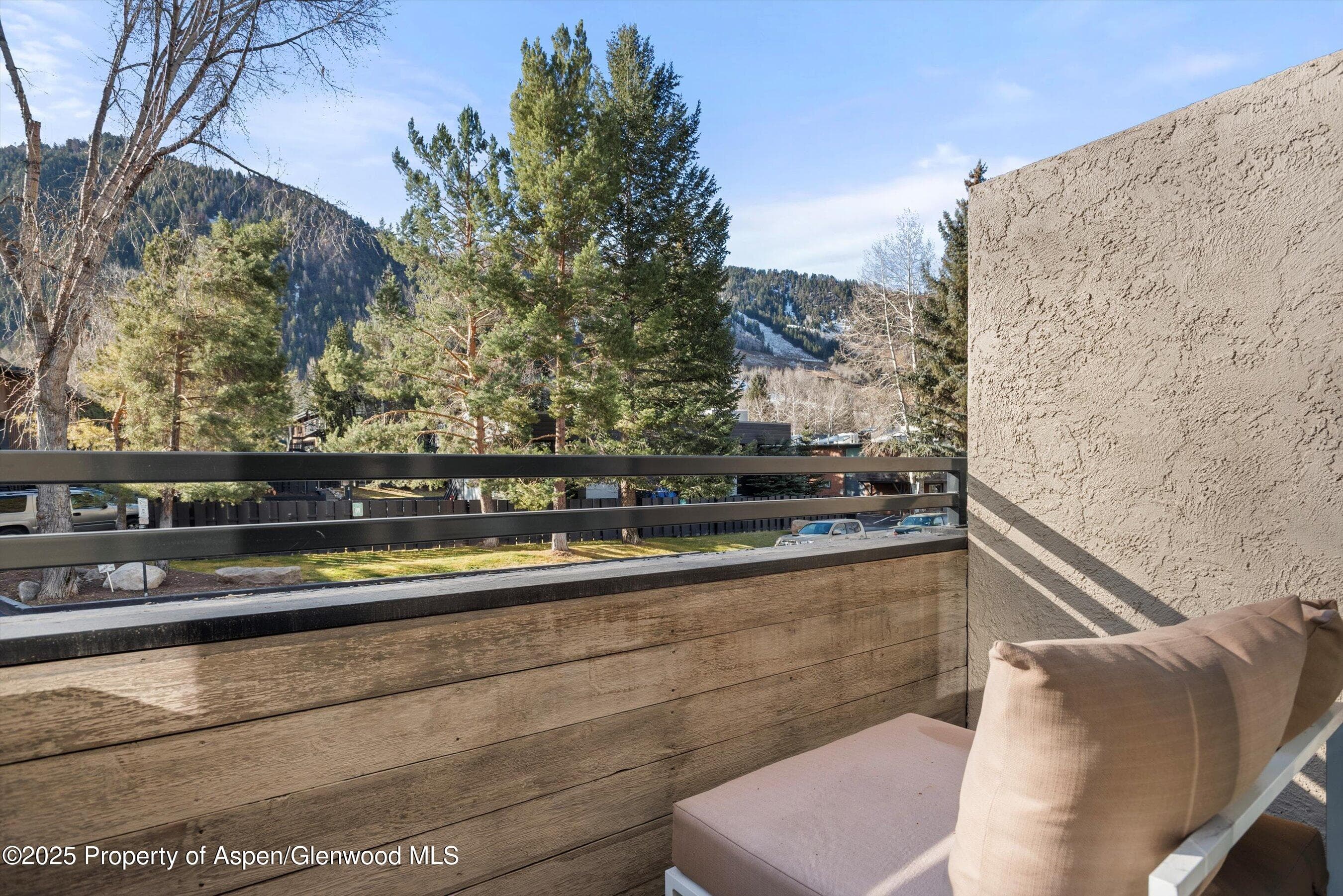 1024 E Cooper Avenue 1, Aspen, CO 81611 - Photo 19