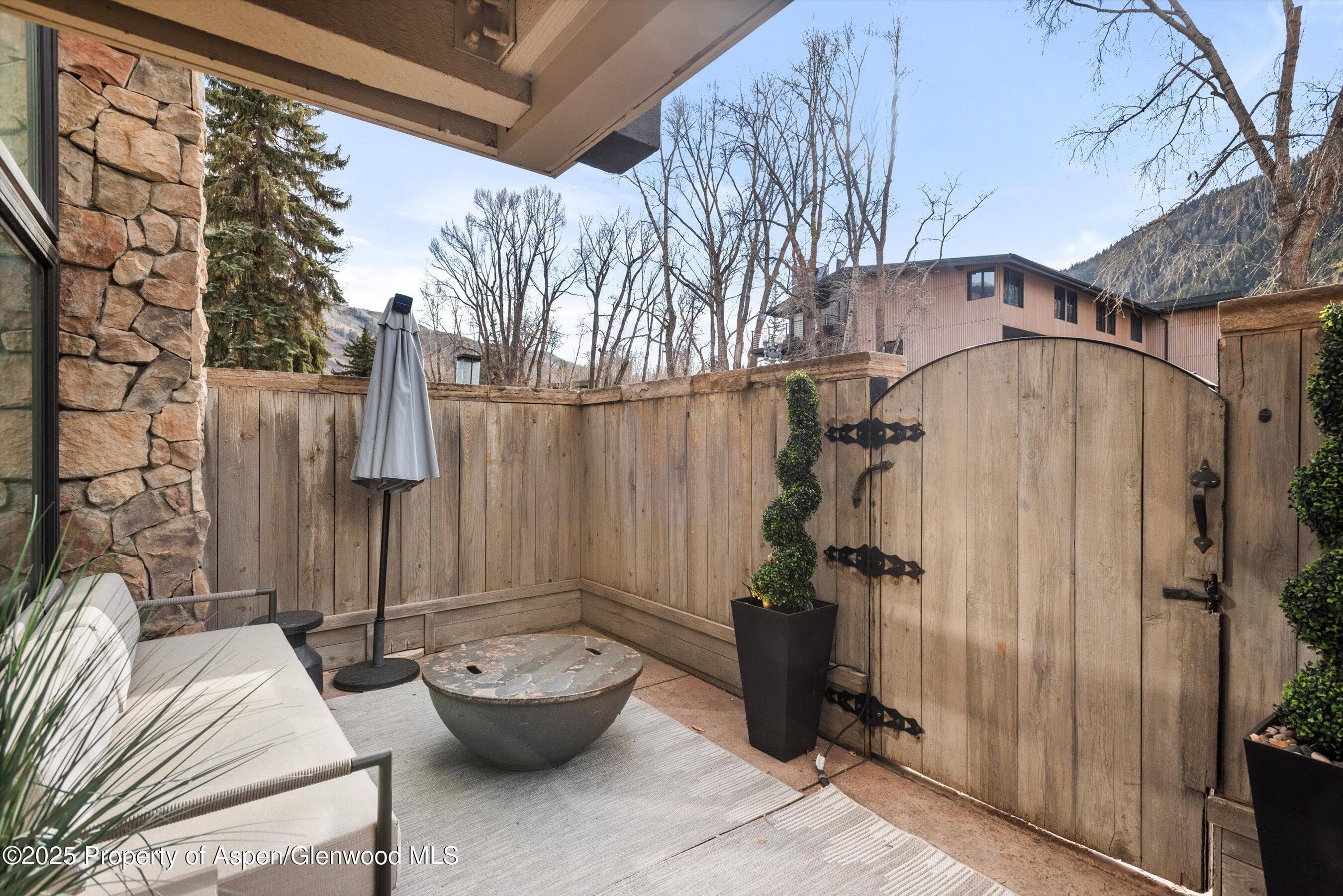 1024 E Cooper Avenue 1, Aspen, CO 81611 - Photo 22